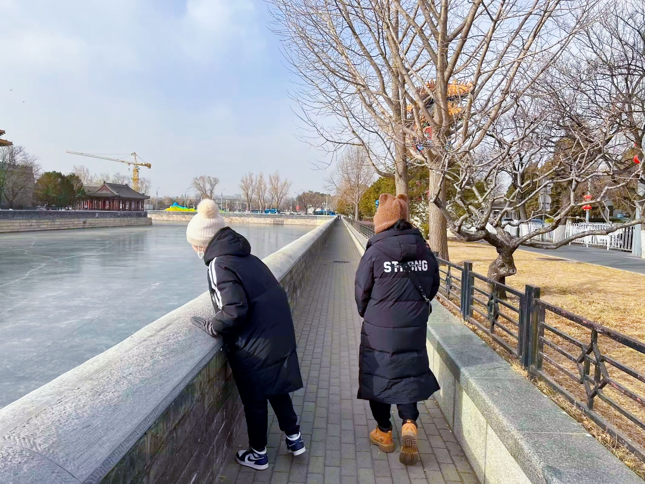 大德曰生旅行图片 2