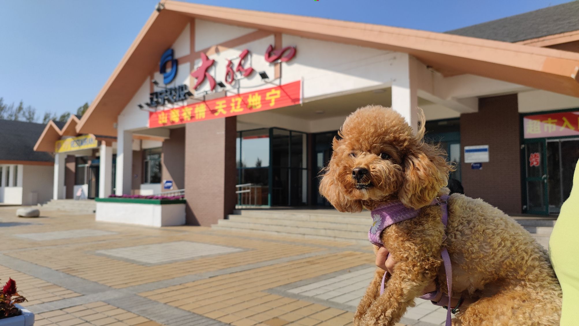 辽宁大孤山国家森林公园旅行图片 3