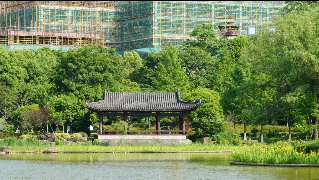 道院山生态公园旅行图片 3