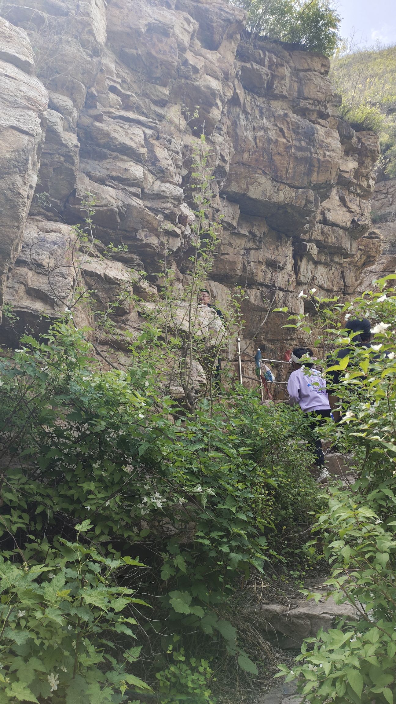 桃林口旅行图片 2