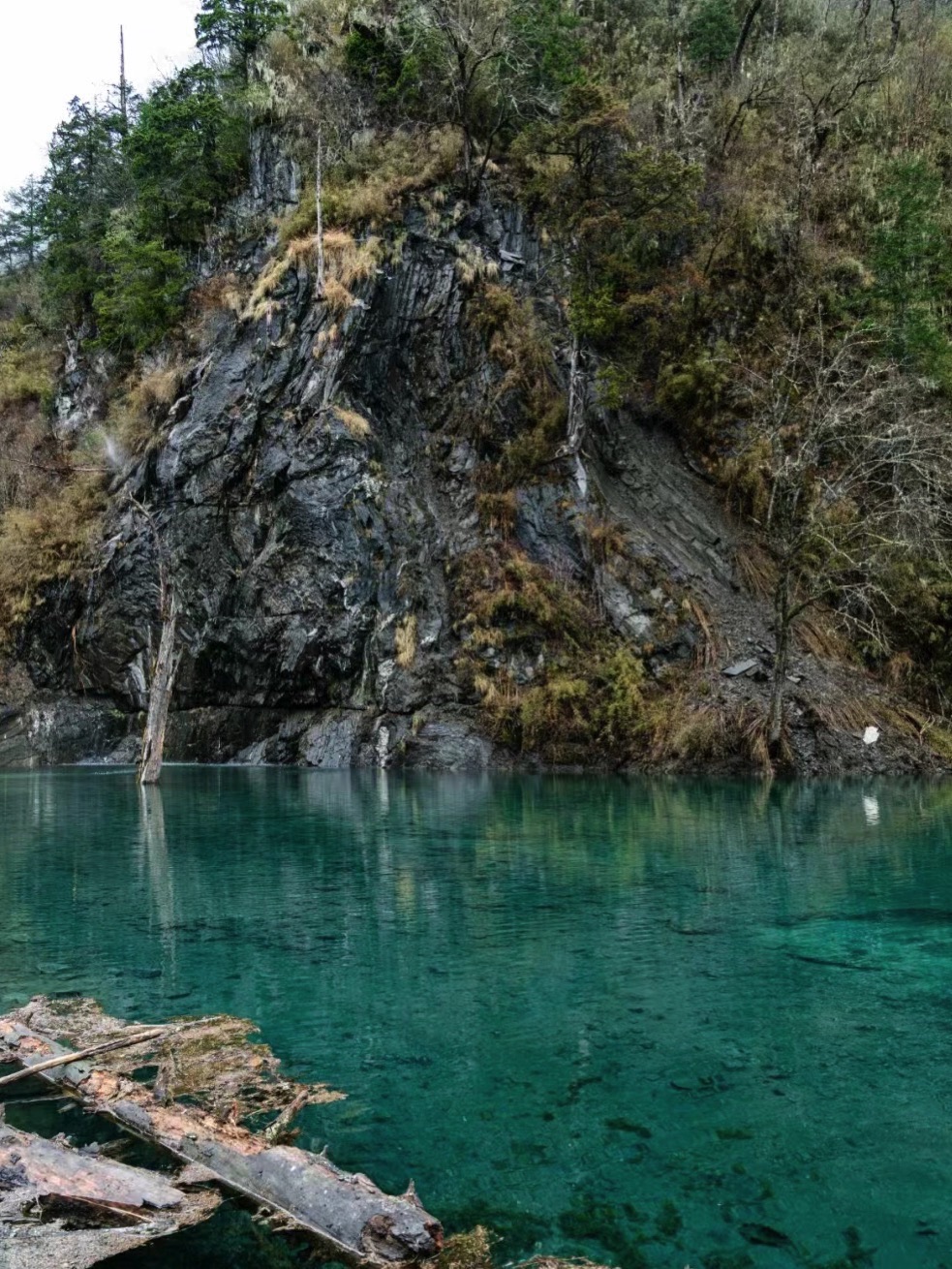 毕棚沟景区旅行图片 1