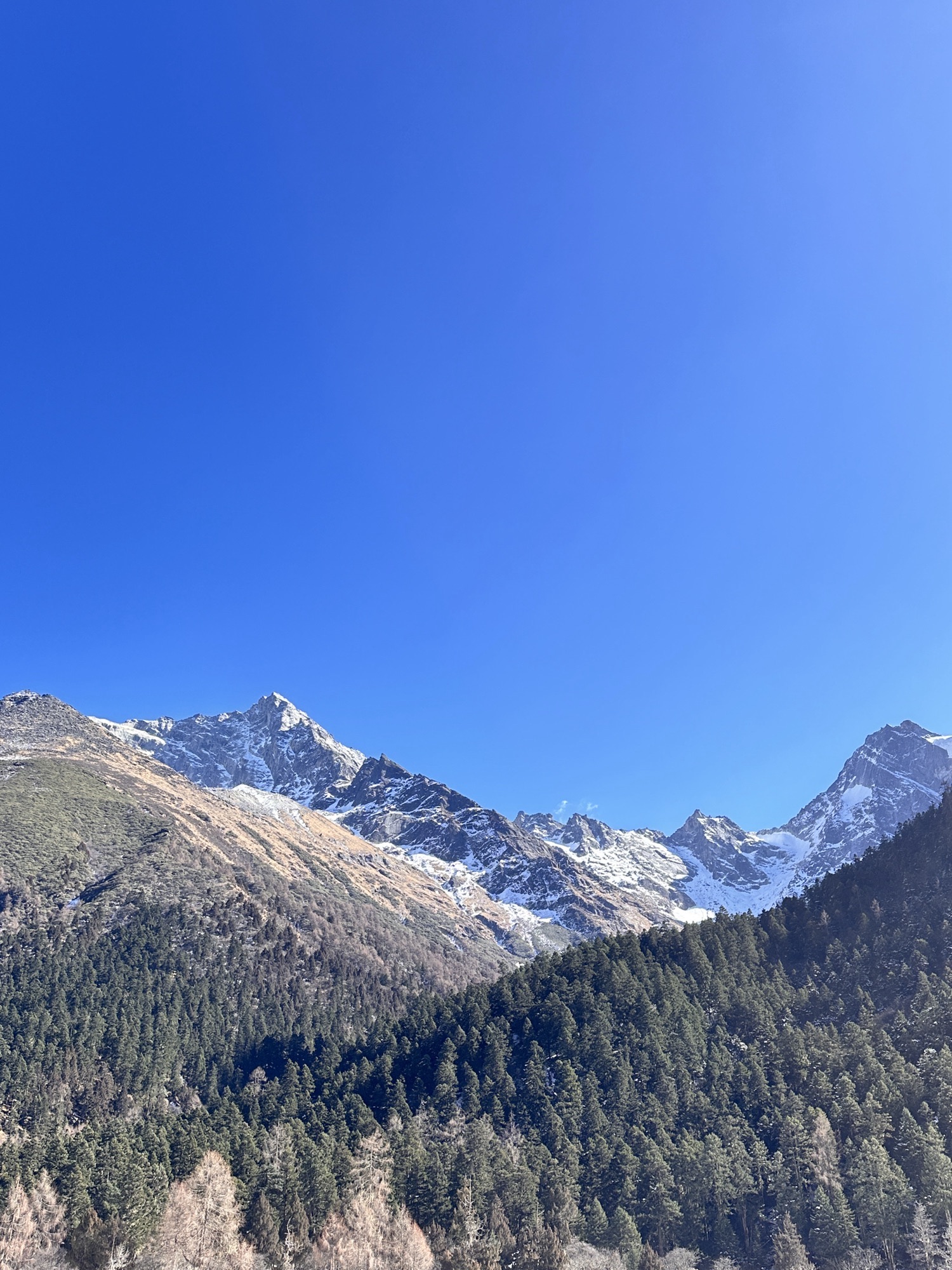 毕棚沟景区旅行图片 1