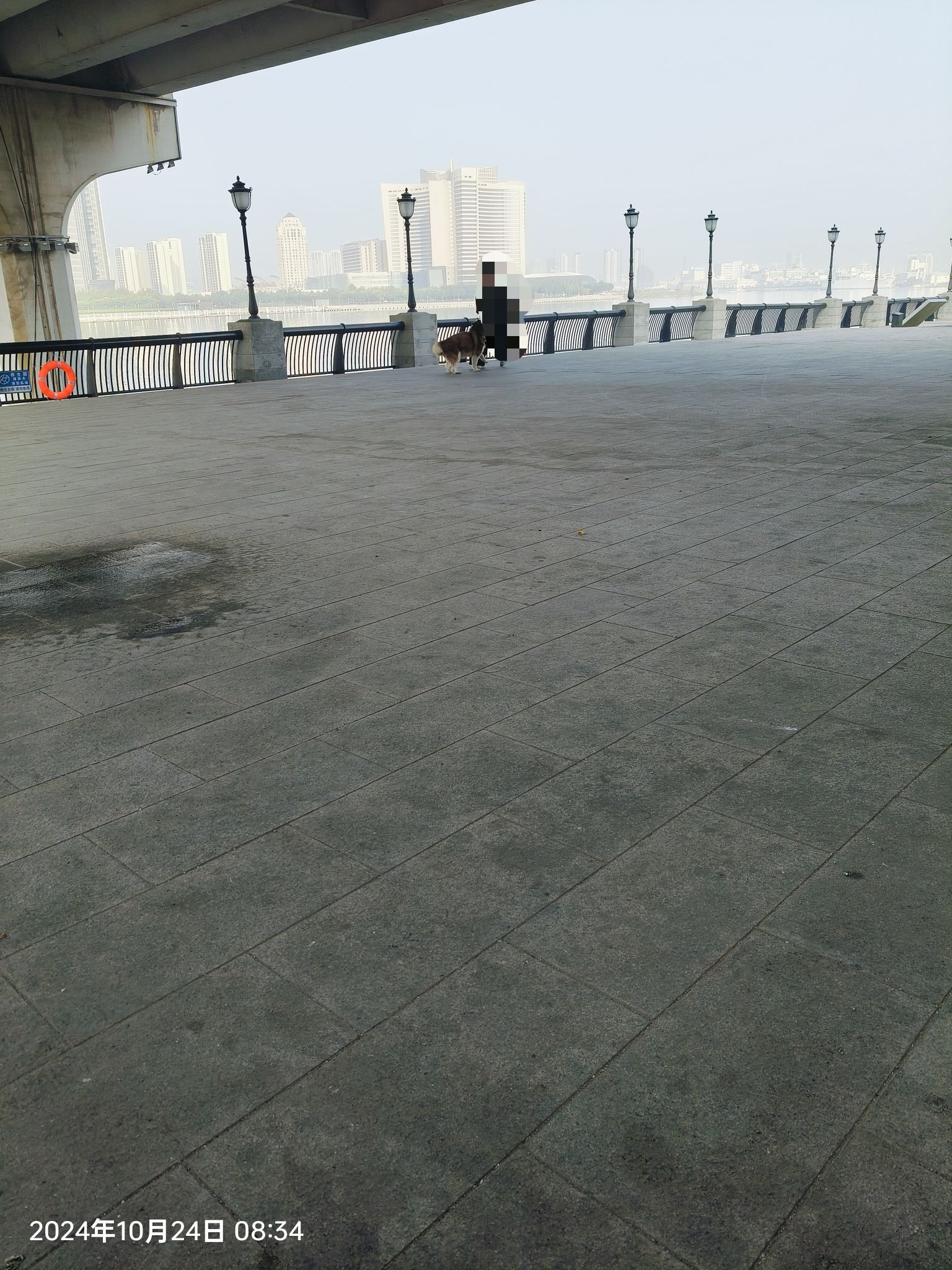 彩带公园旅行图片 3