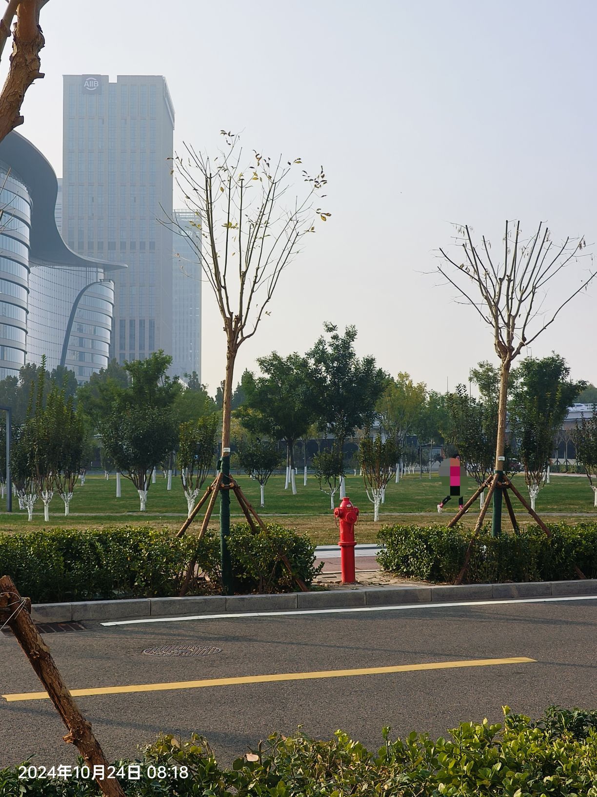 彩带公园旅行图片 2