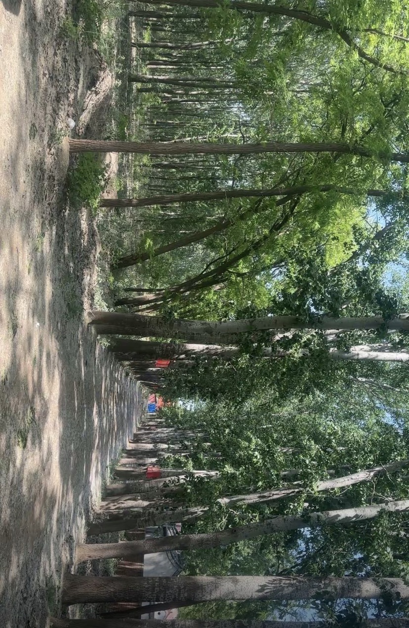 快活林旅行图片 3