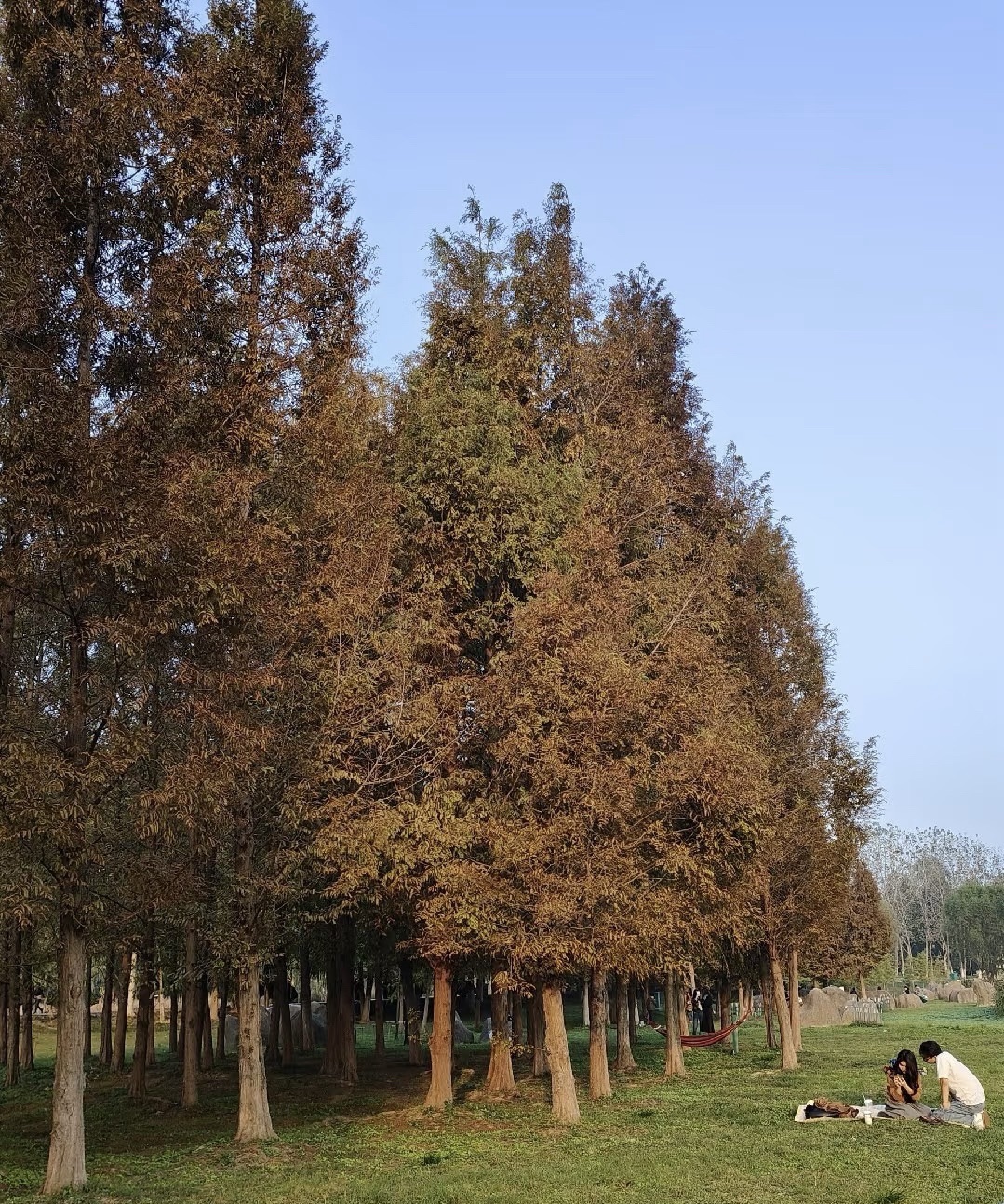 滨湖塘西河公园旅行图片 1