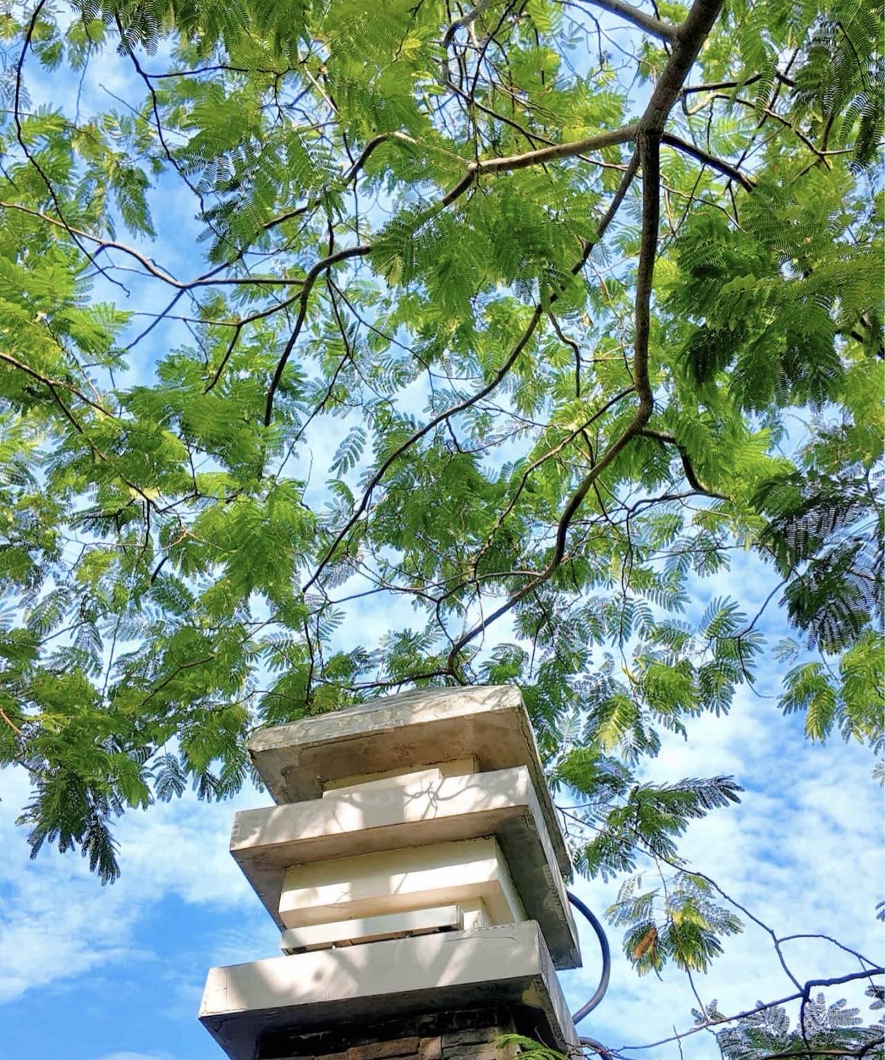 滨湖塘西河公园旅行图片 3