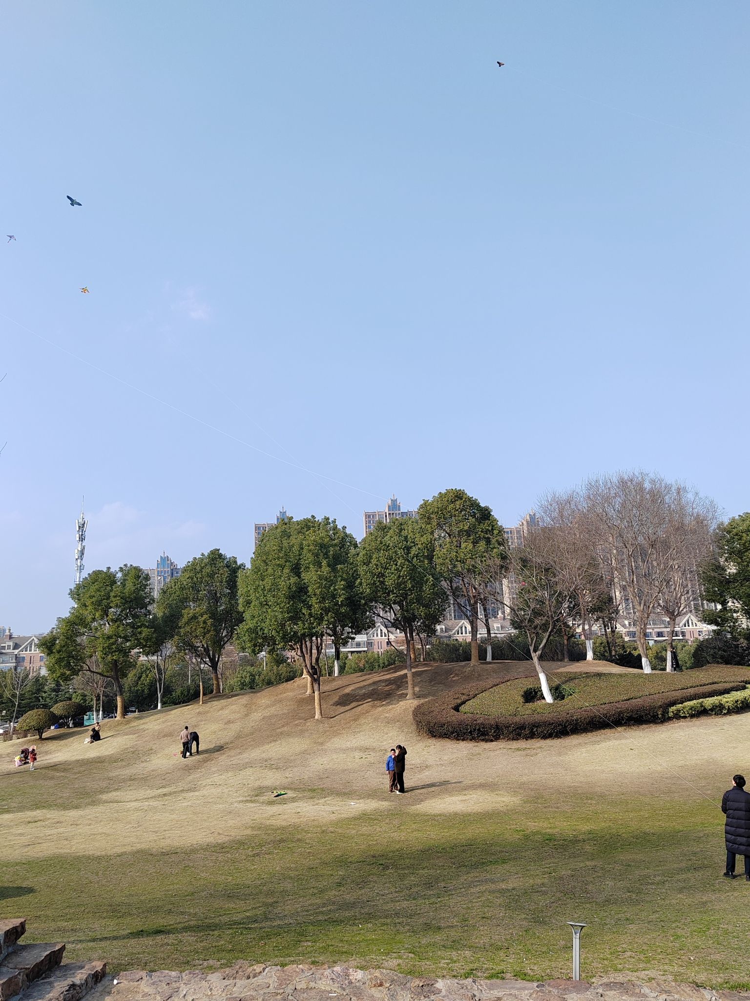滨湖塘西河公园旅行图片 2