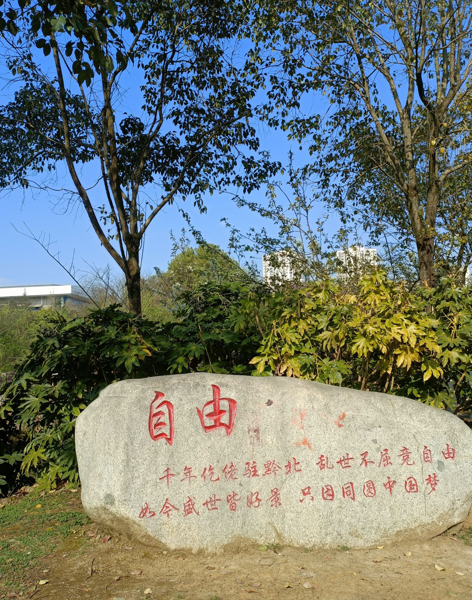 遵义市新蒲湿地公园旅行图片 2