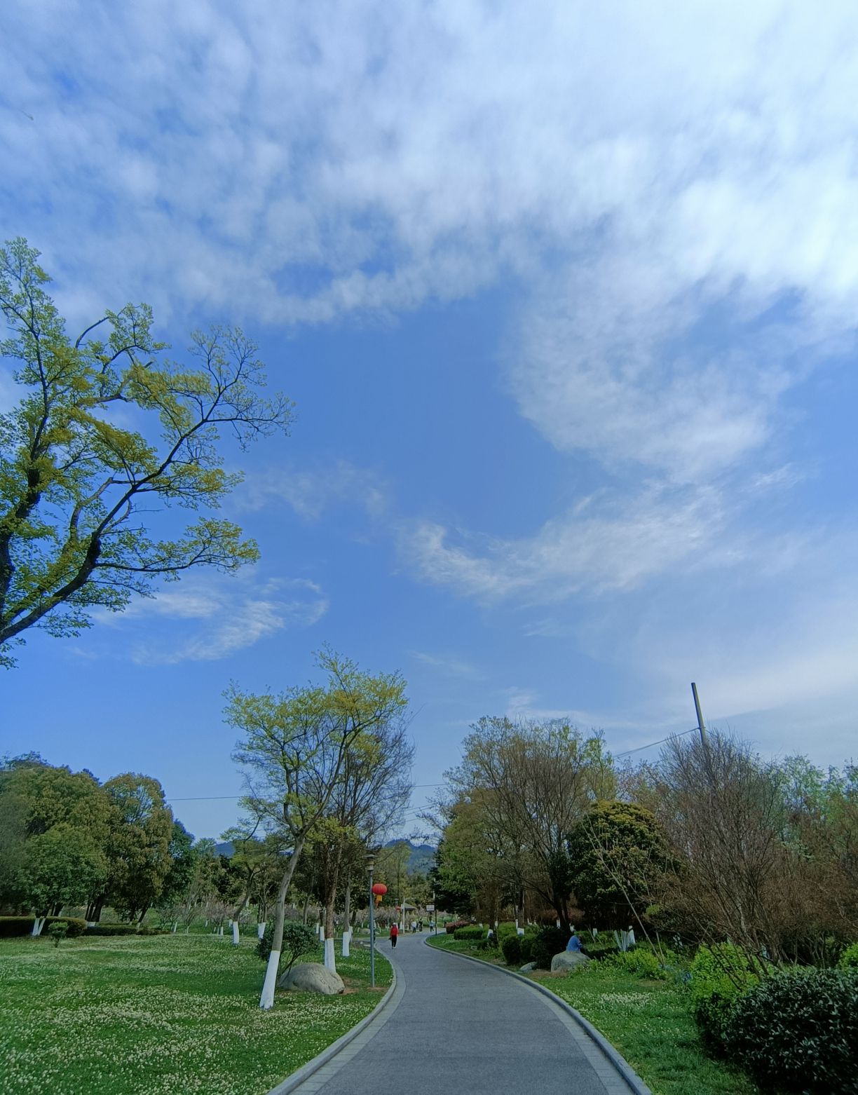 遵义市新蒲湿地公园旅行图片 3