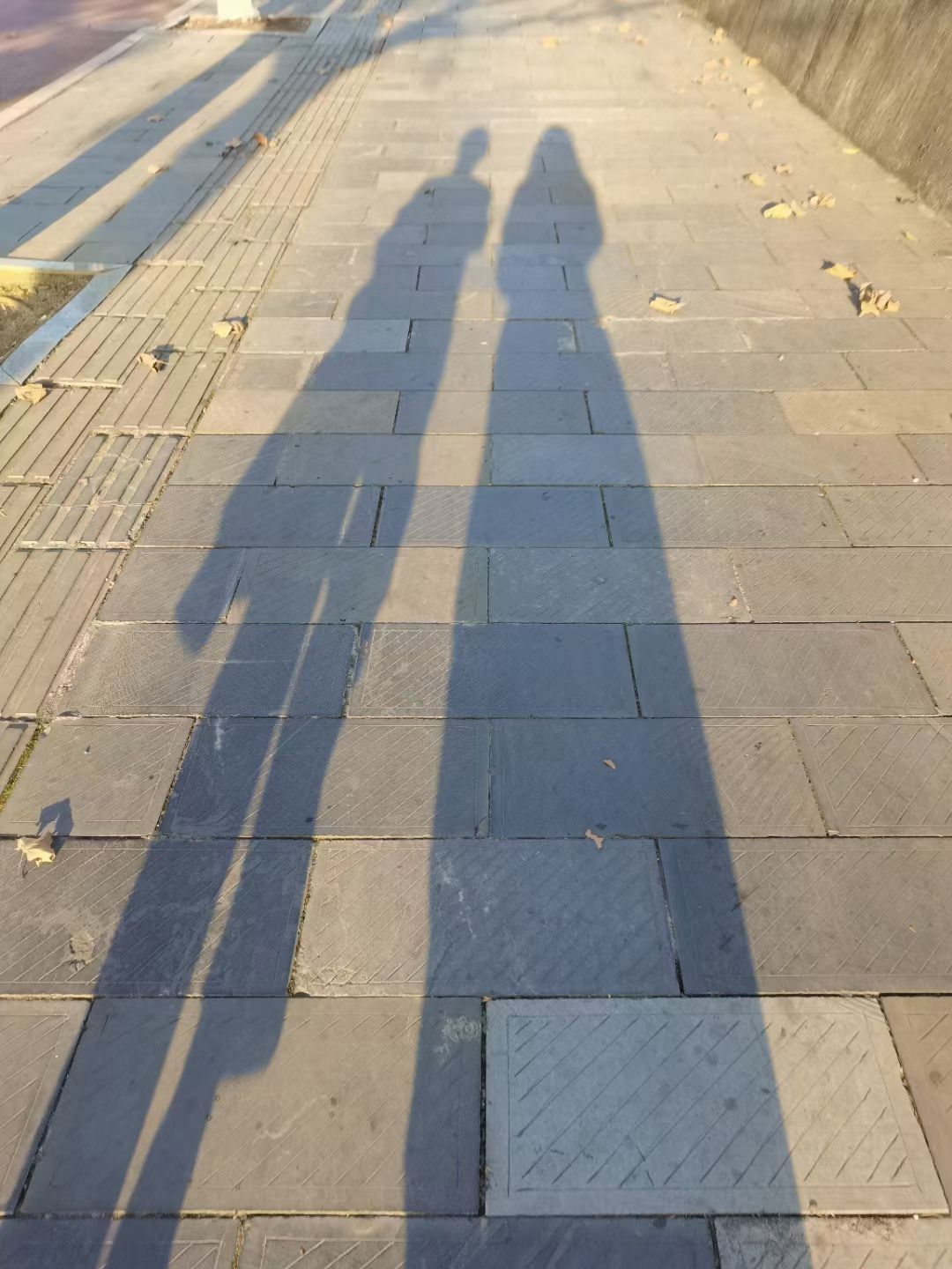 遵义市新蒲湿地公园旅行图片 1