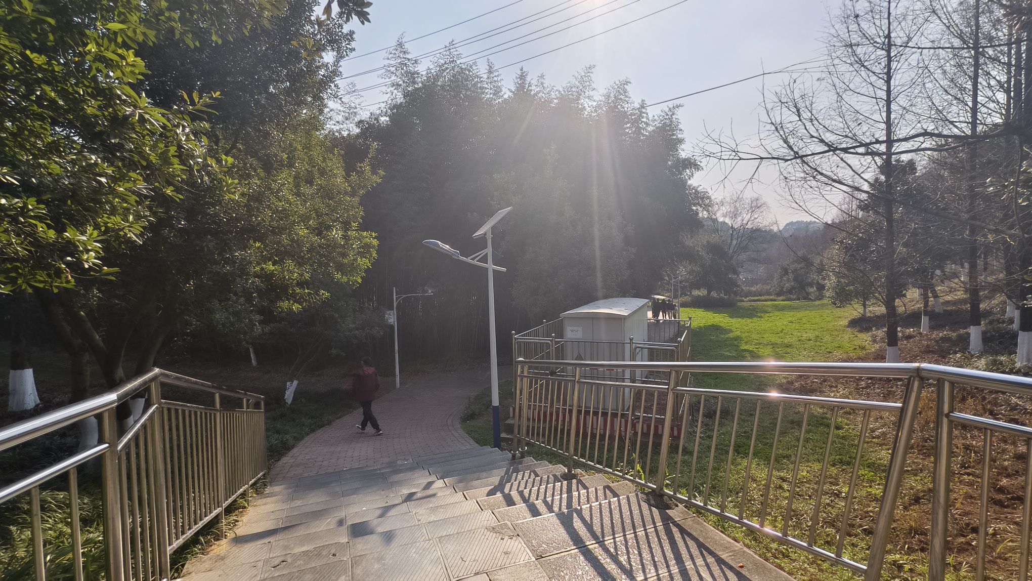 遵义市新蒲湿地公园旅行图片 1