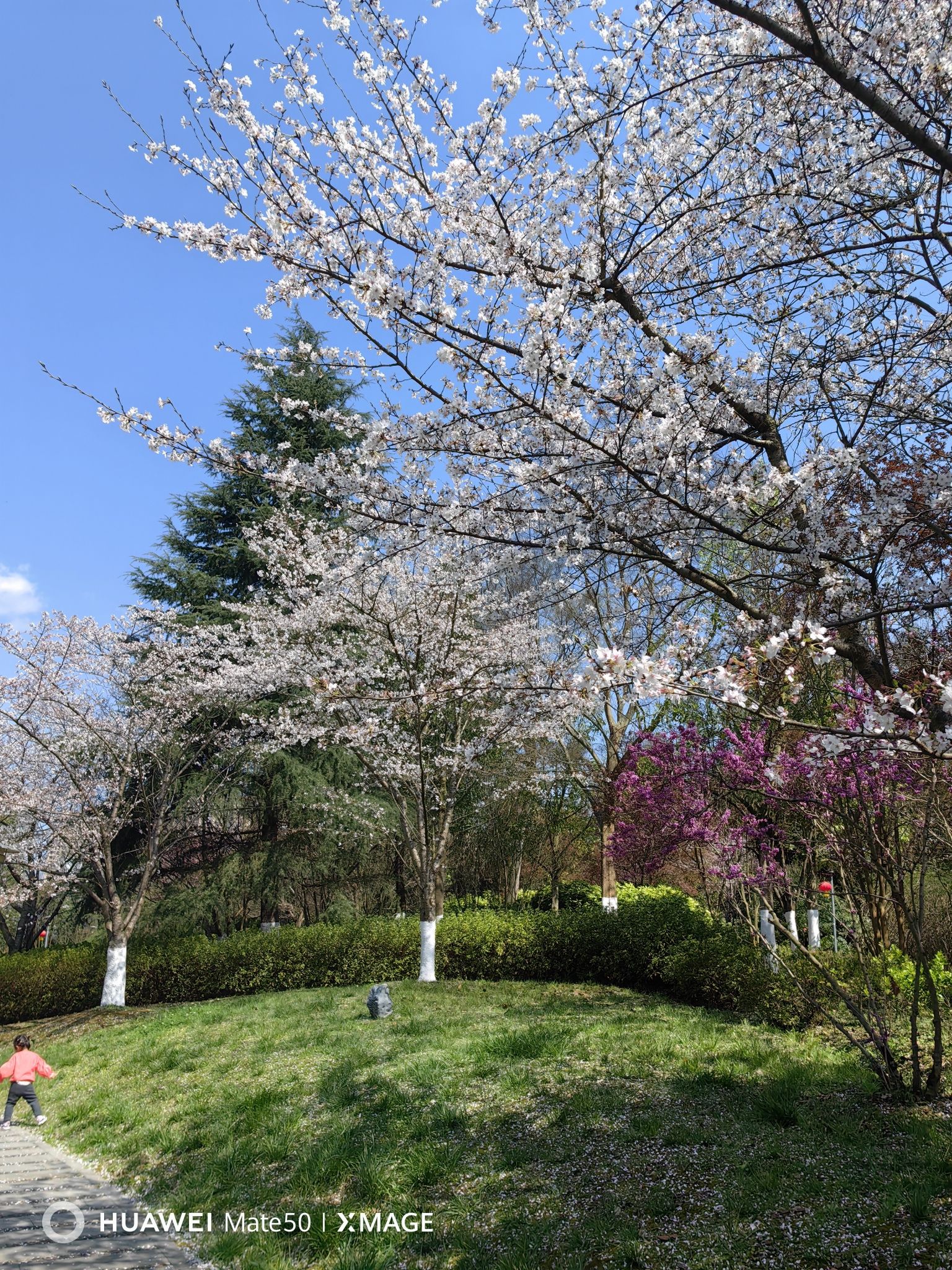 遵义市新蒲湿地公园旅行图片 3