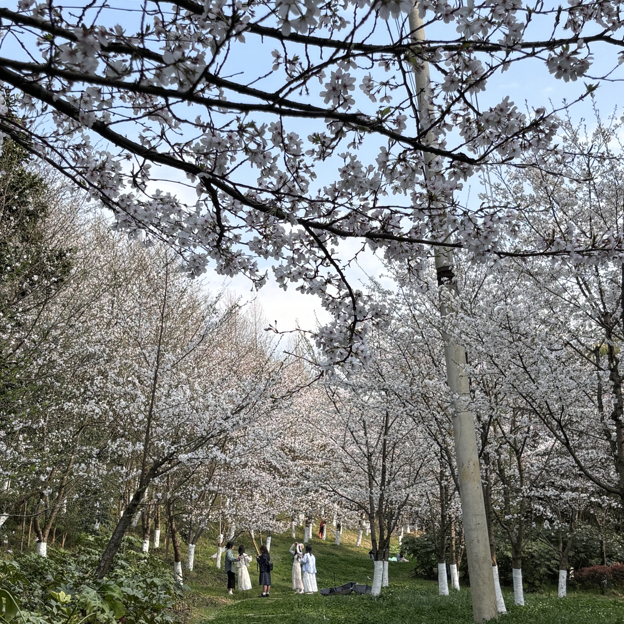 遵义市新蒲湿地公园旅行图片 3