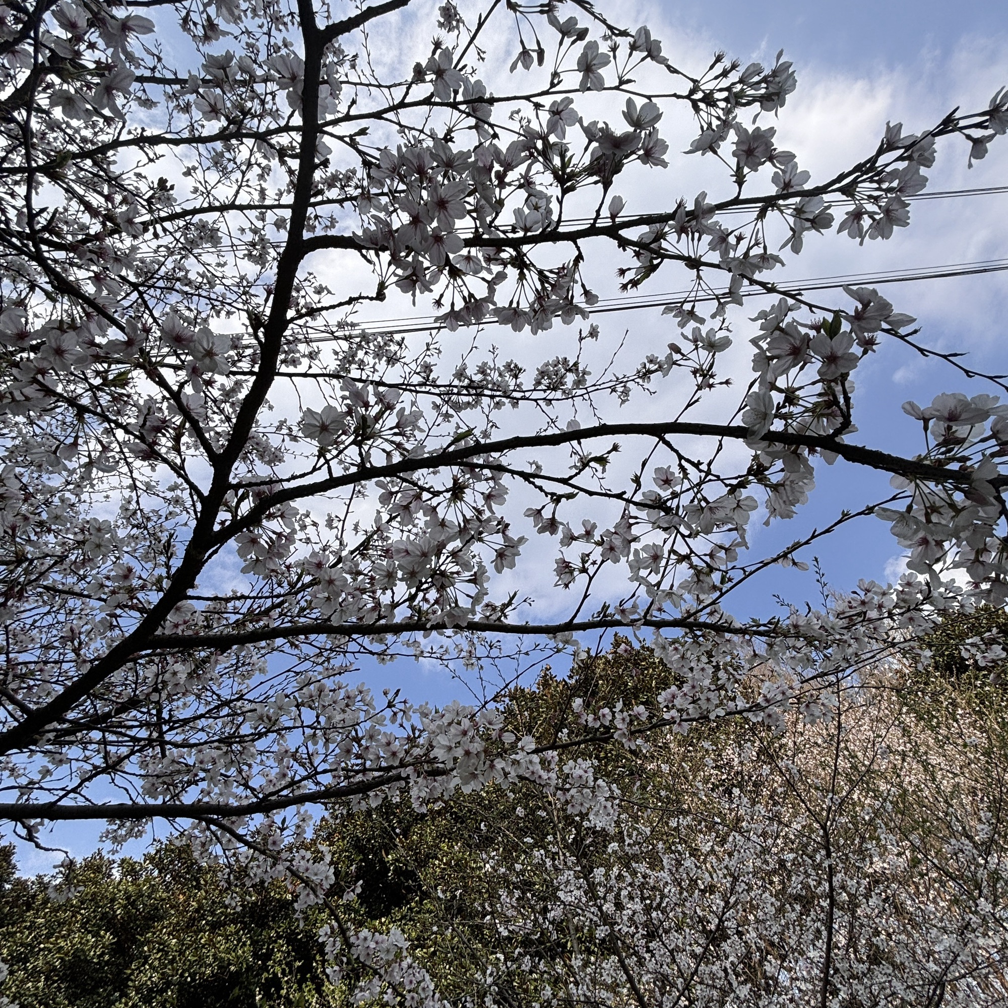 遵义市新蒲湿地公园旅行图片 2