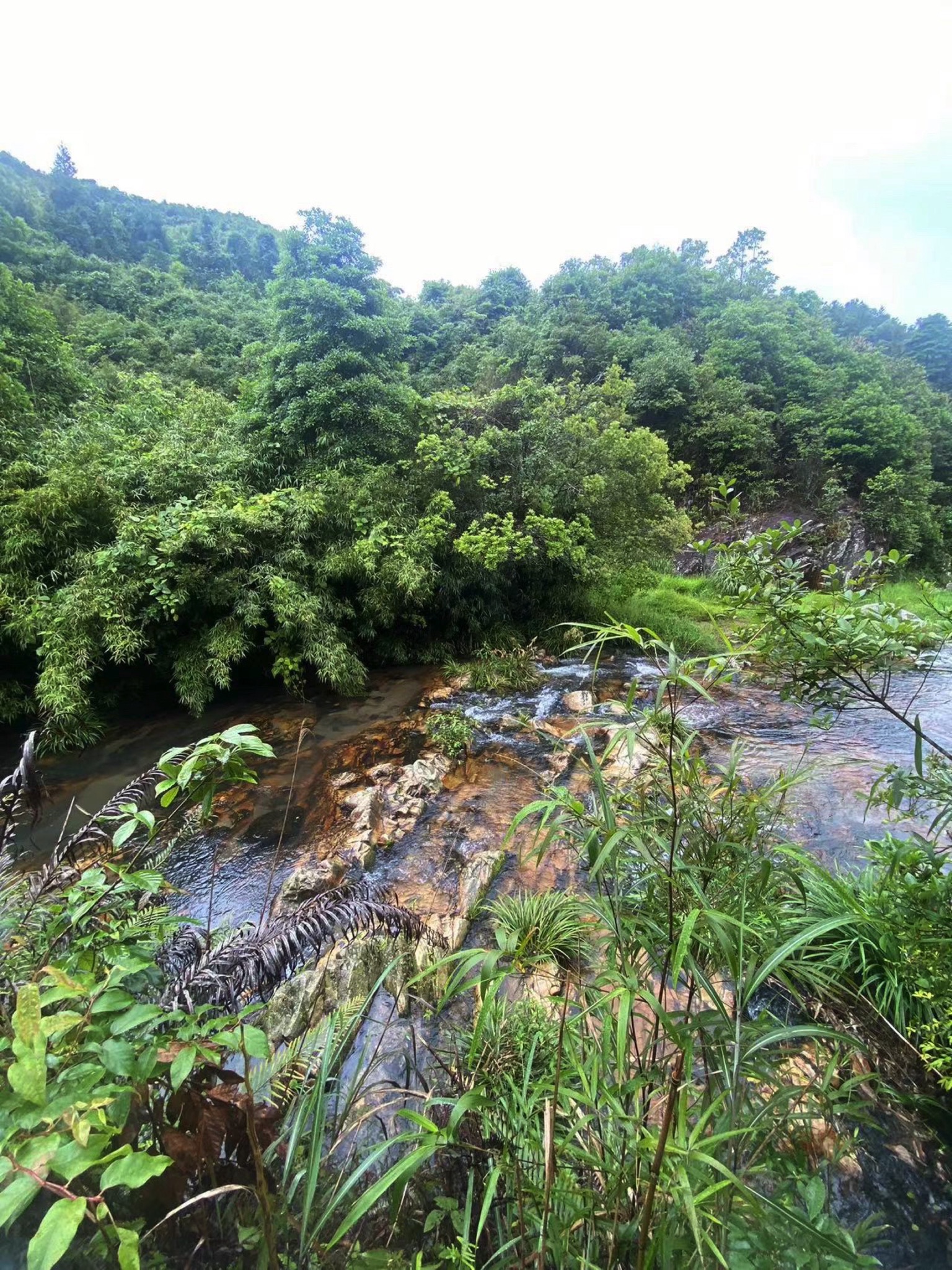 雄狮瀑布旅行图片 1
