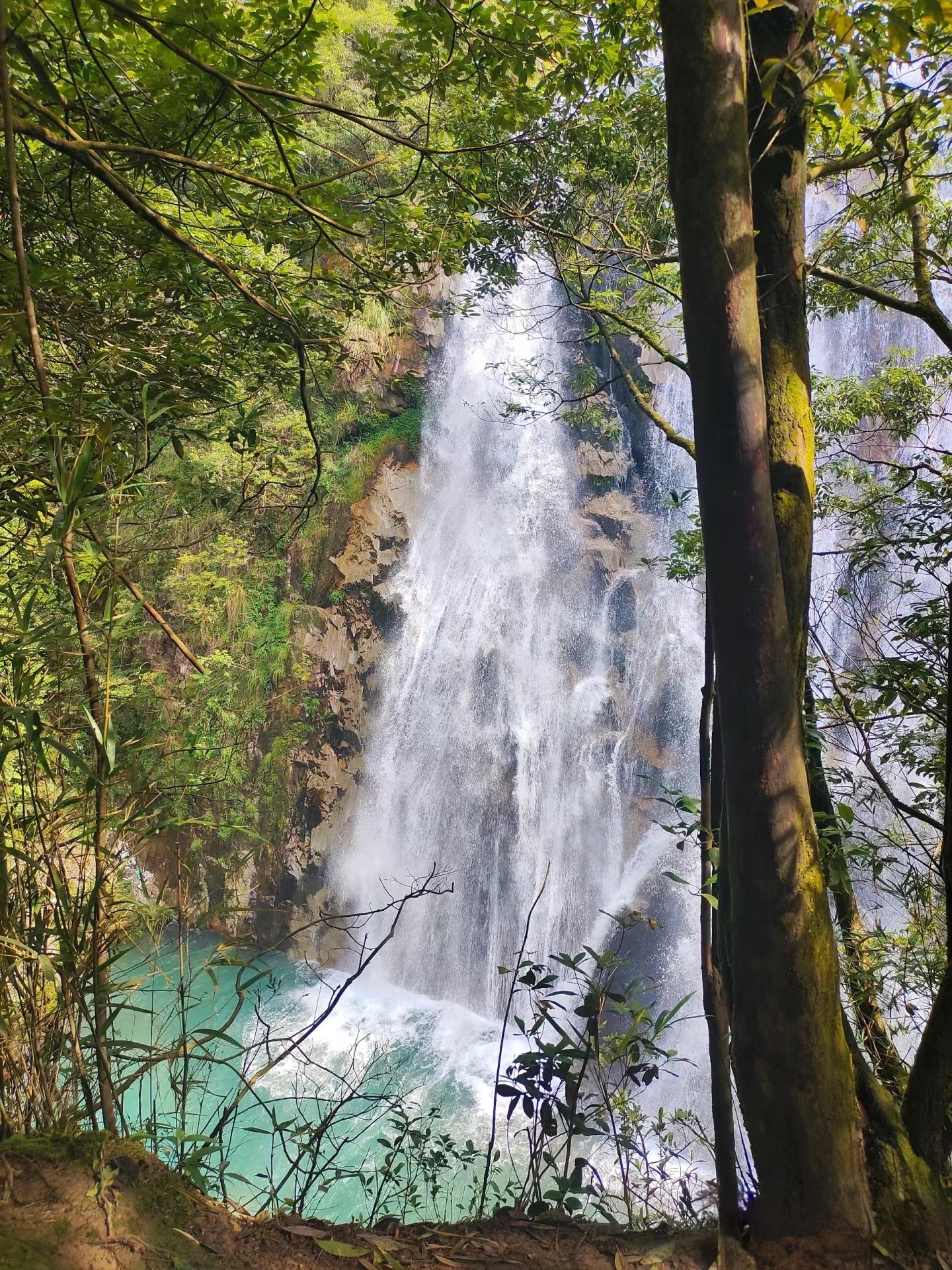 雄狮瀑布旅行图片 2