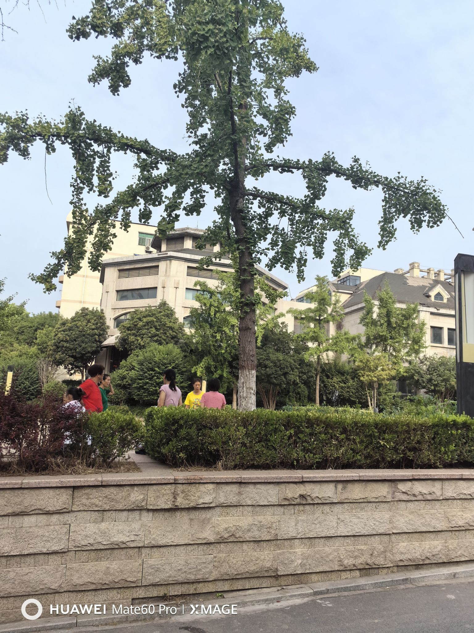 赛纳溪谷广场旅行图片 2