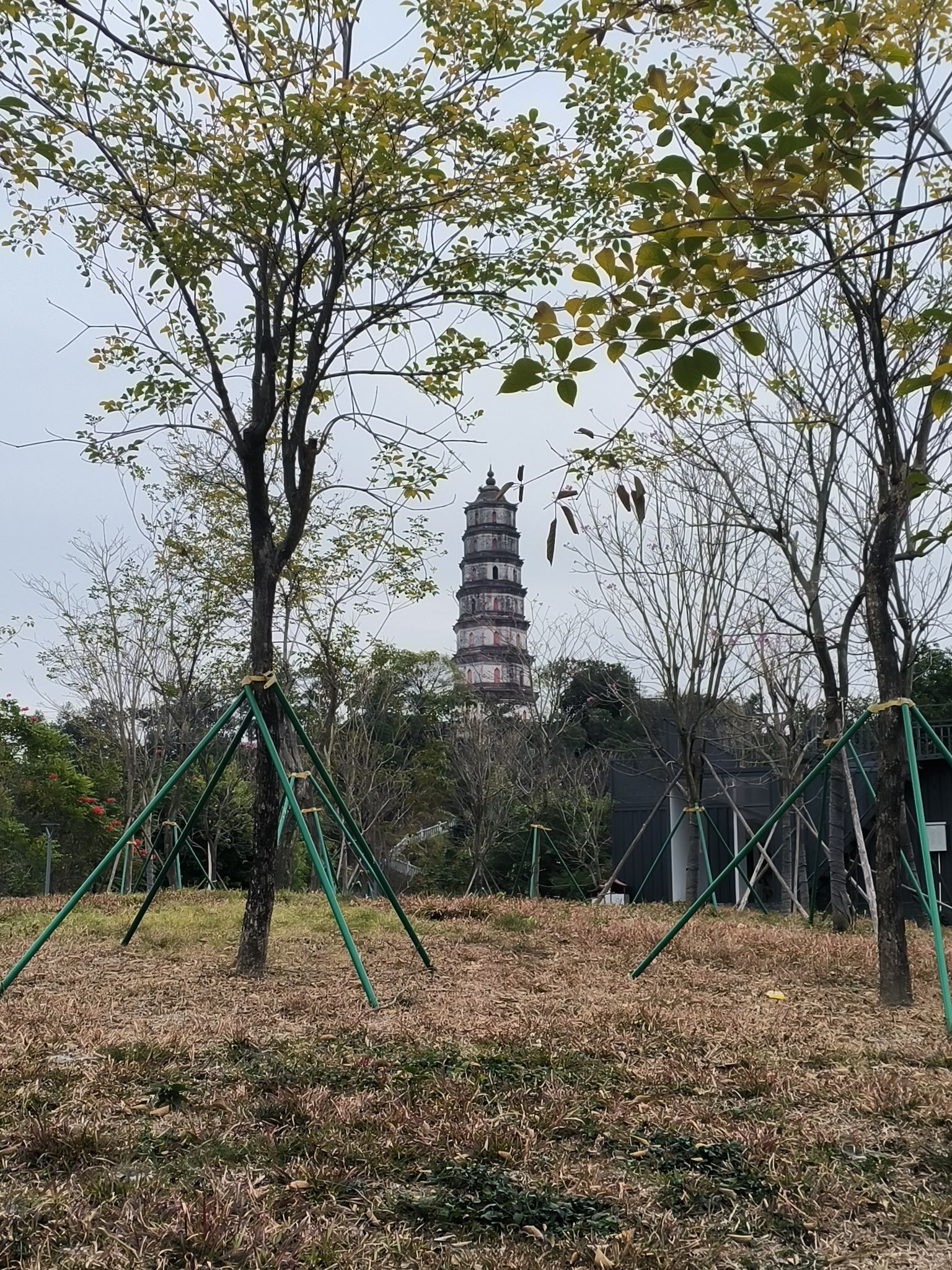 凌云塔旅行图片 1