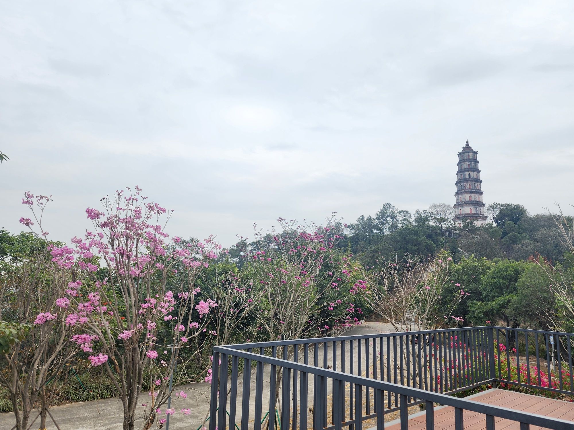 凌云塔旅行图片 1
