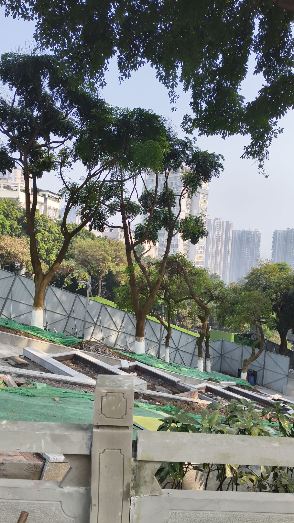 大梯步文化广场旅行图片 2