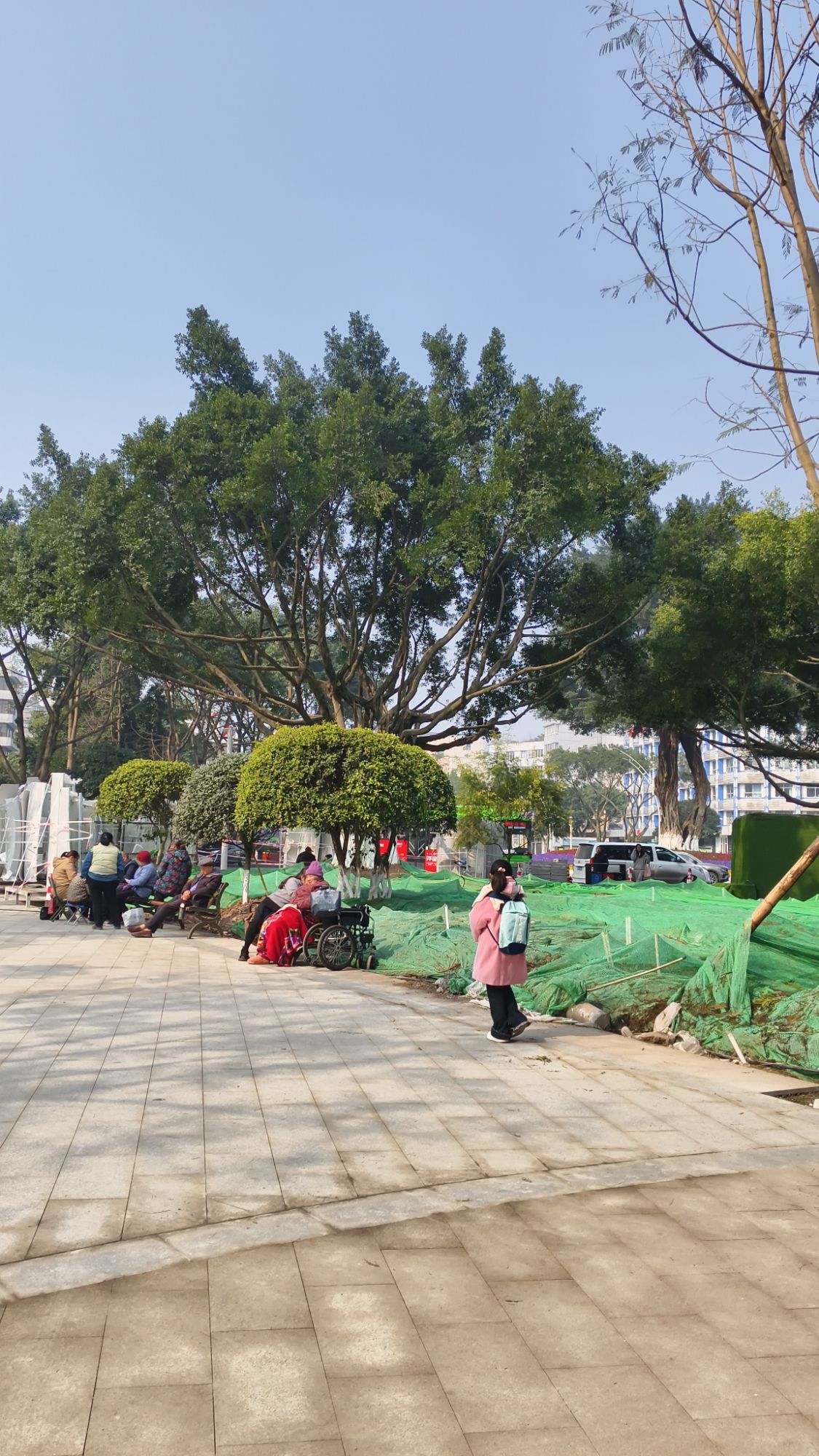 大梯步文化广场旅行图片 3