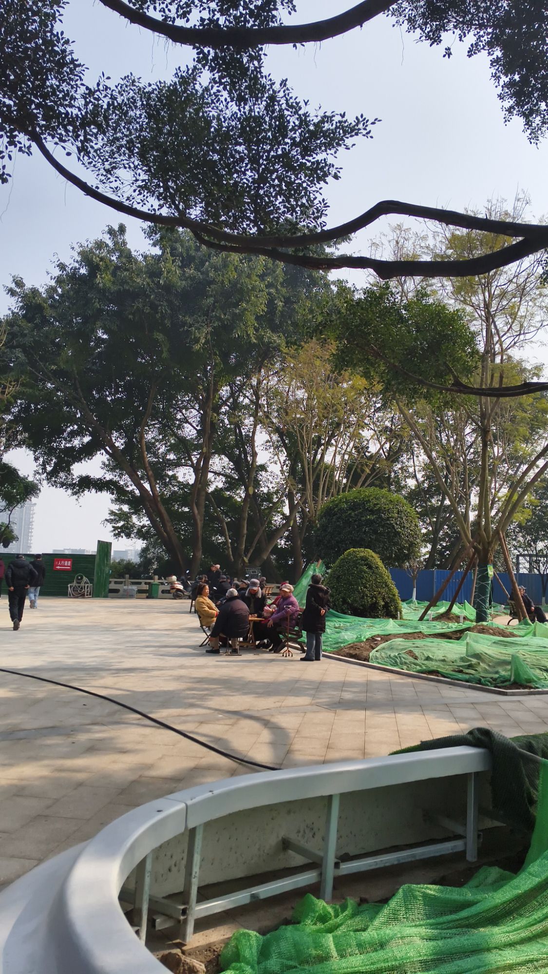 大梯步文化广场旅行图片 1