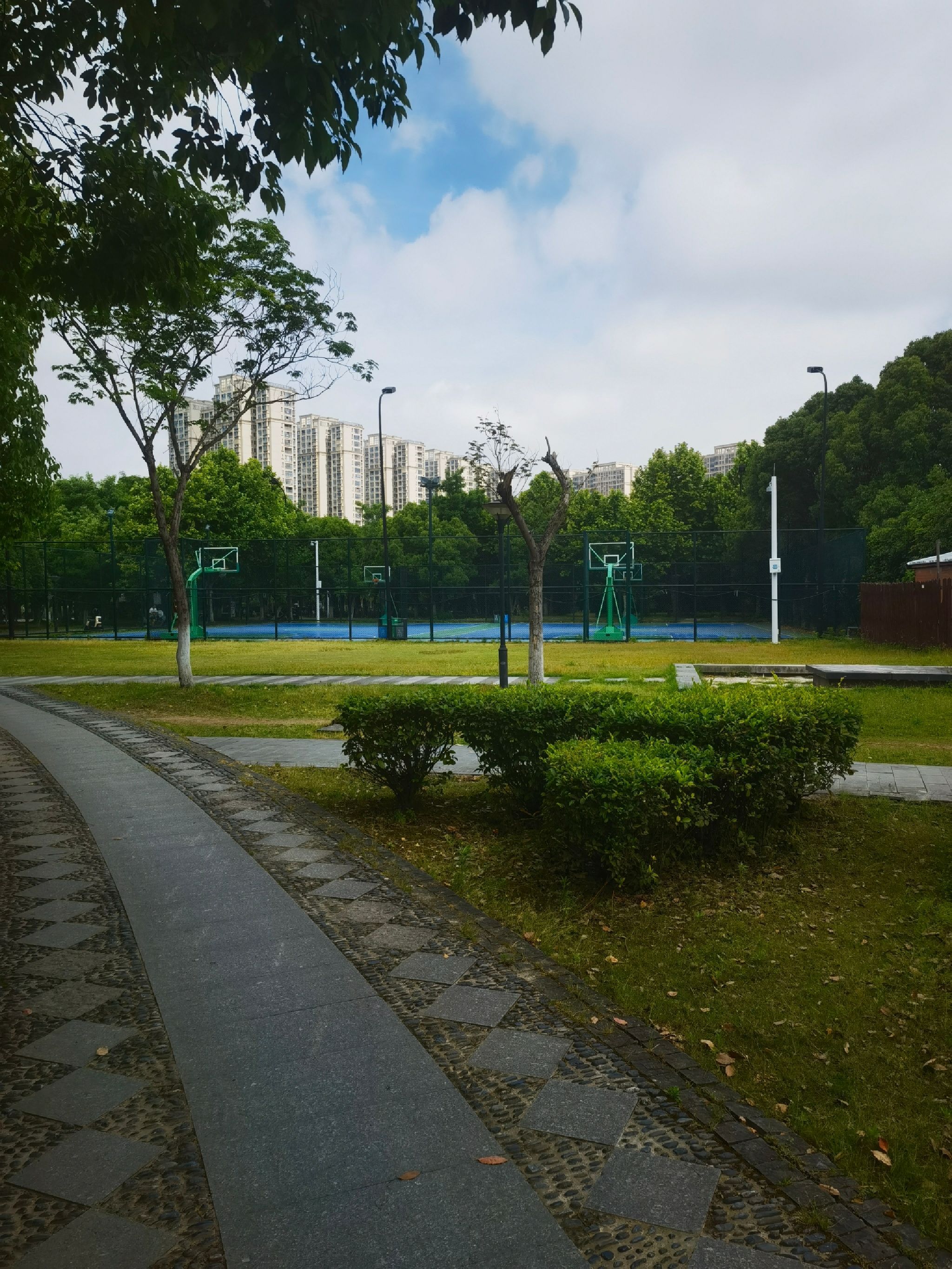 运动公园旅行图片 1