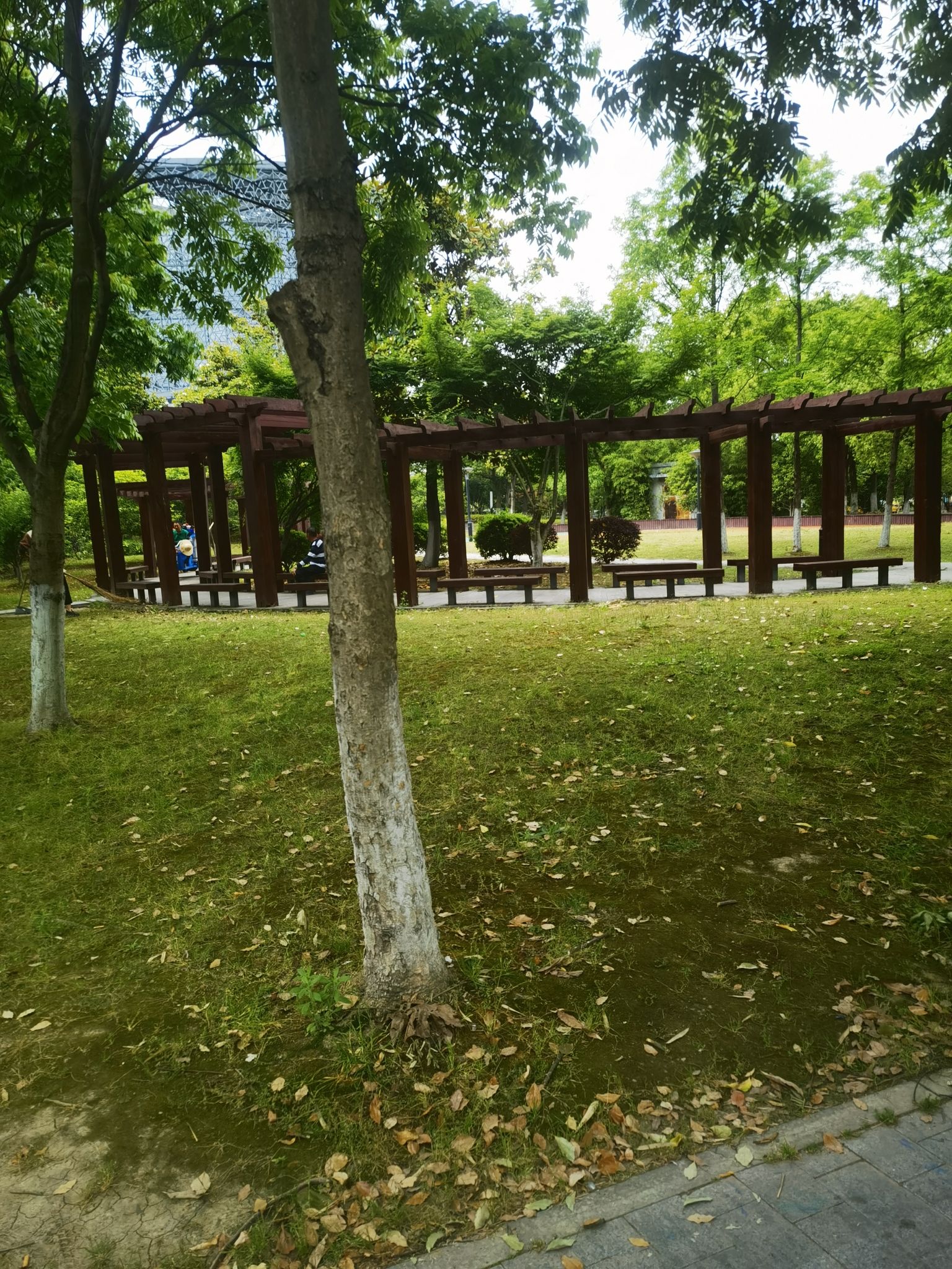 运动公园旅行图片 2