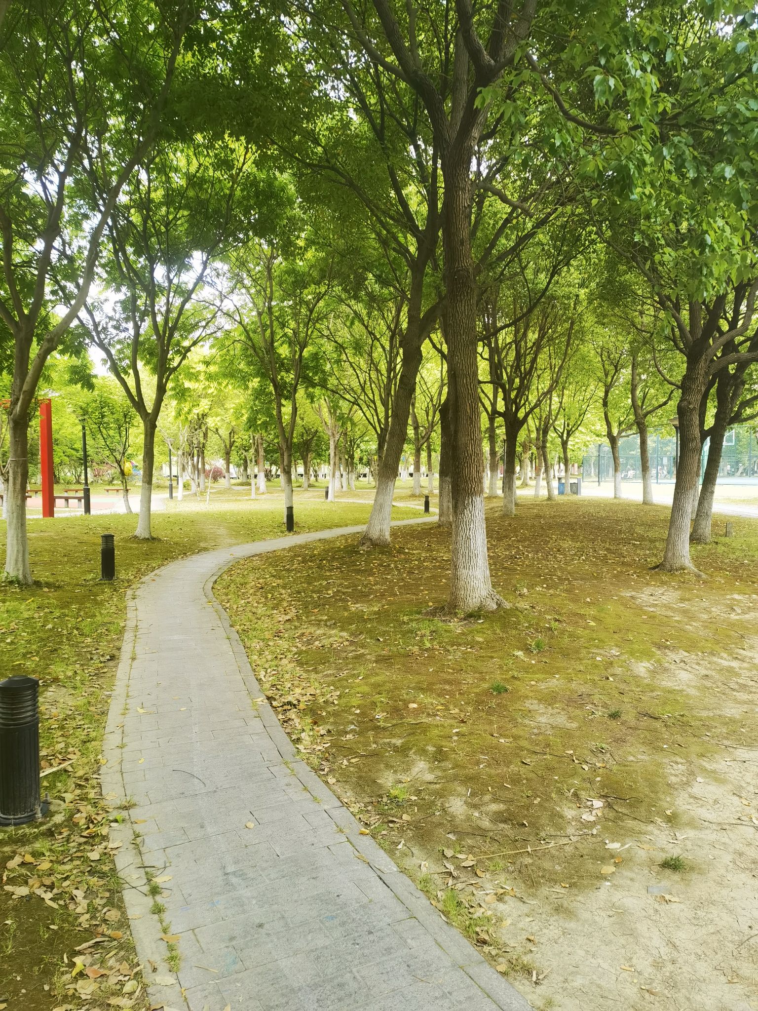 运动公园旅行图片 3