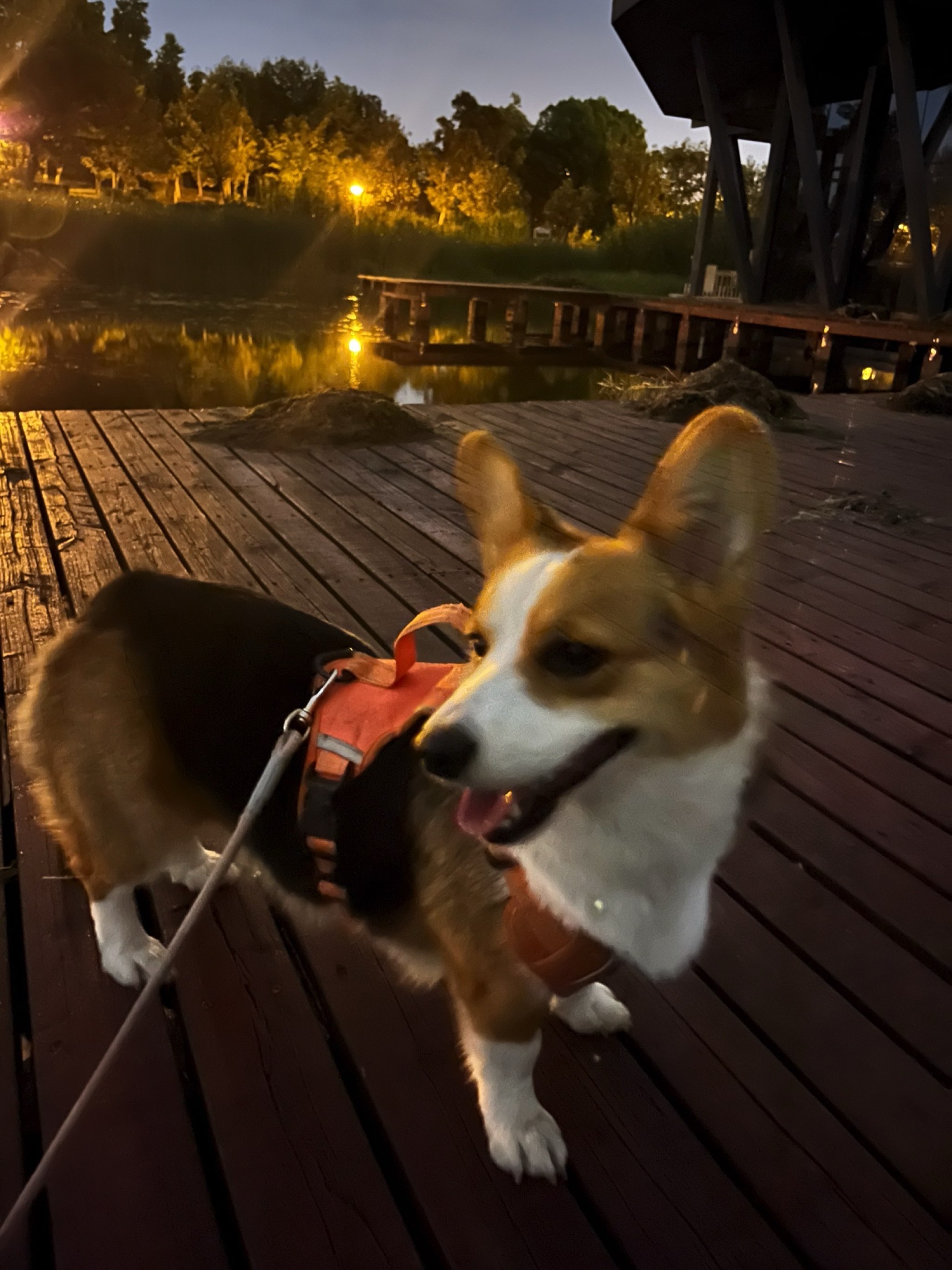 运动公园旅行图片 1