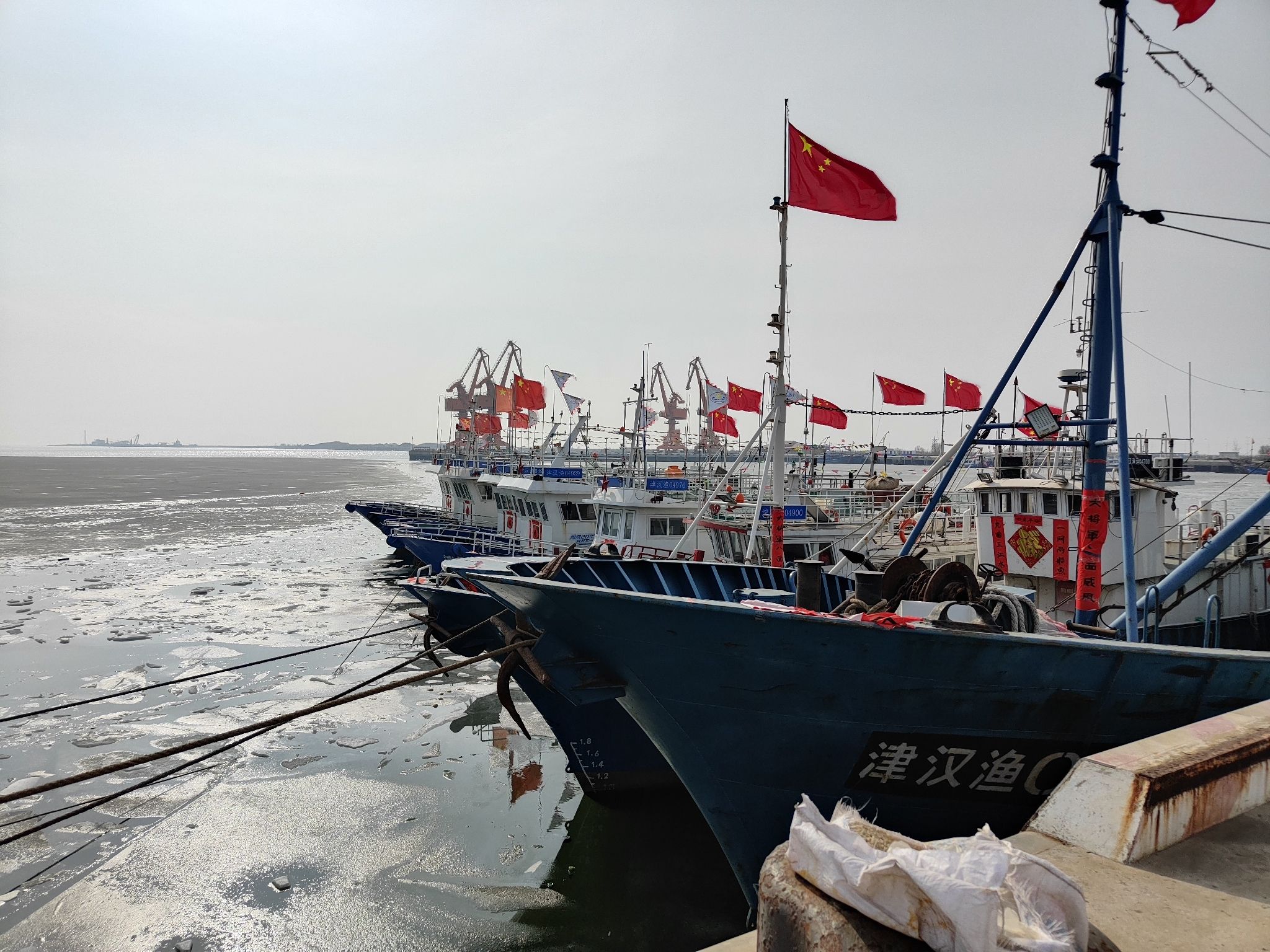 滨海鲤鱼门旅行图片 2