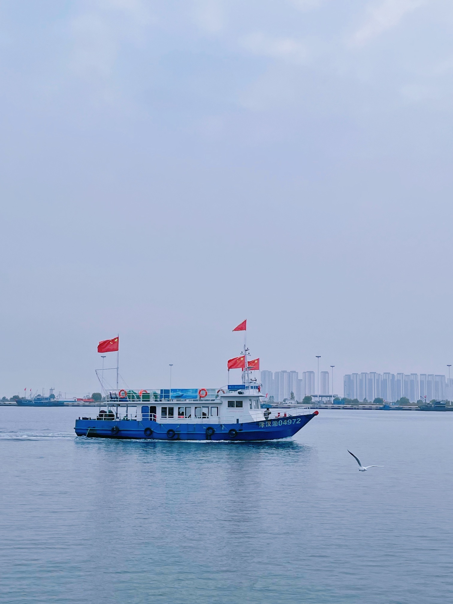 滨海鲤鱼门旅行图片 1