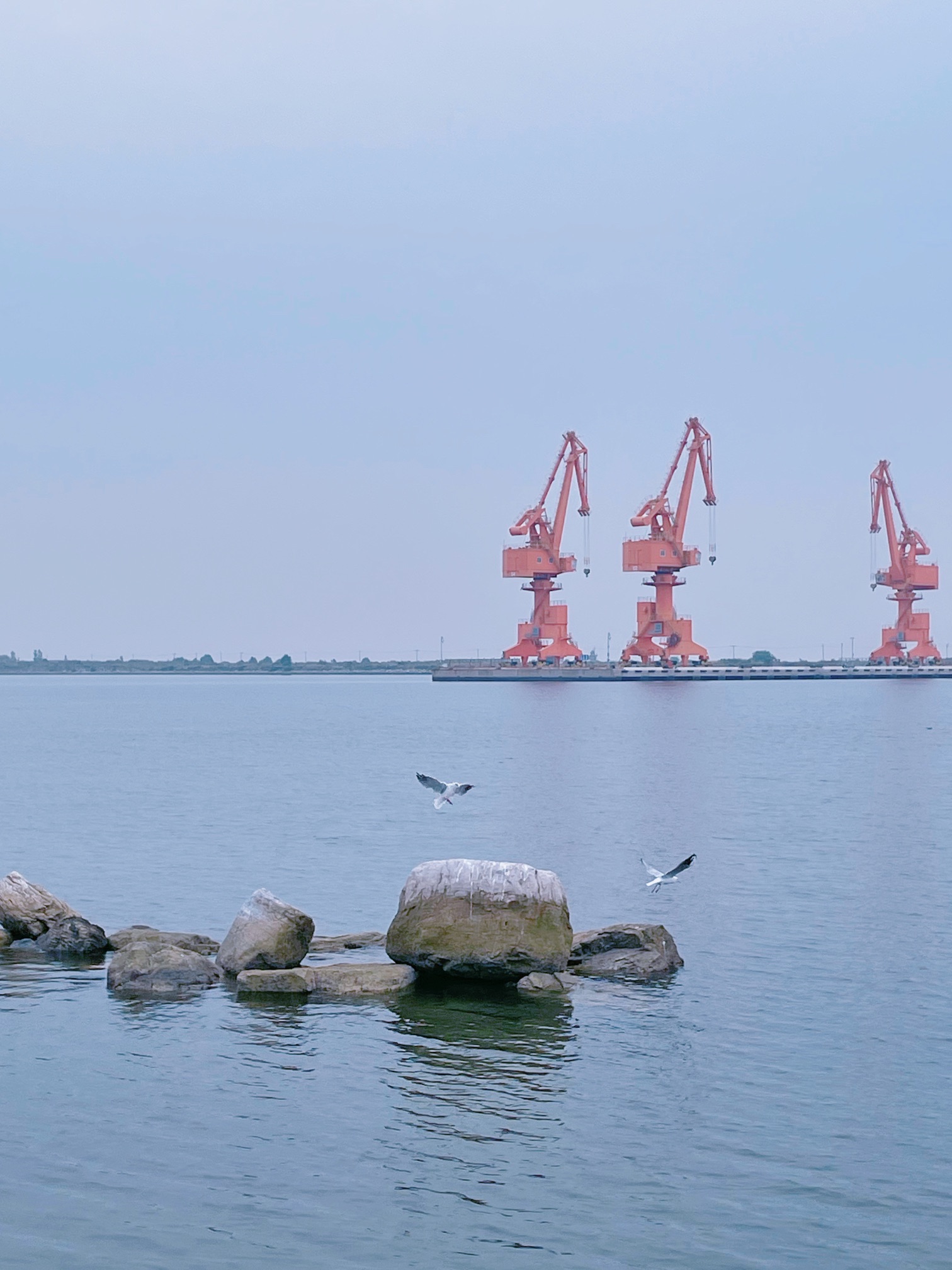 滨海鲤鱼门旅行图片 2