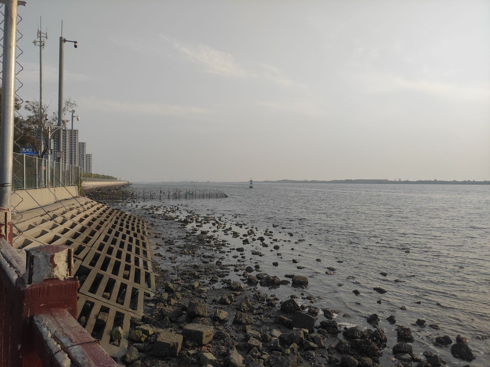 滨海鲤鱼门旅行图片 3