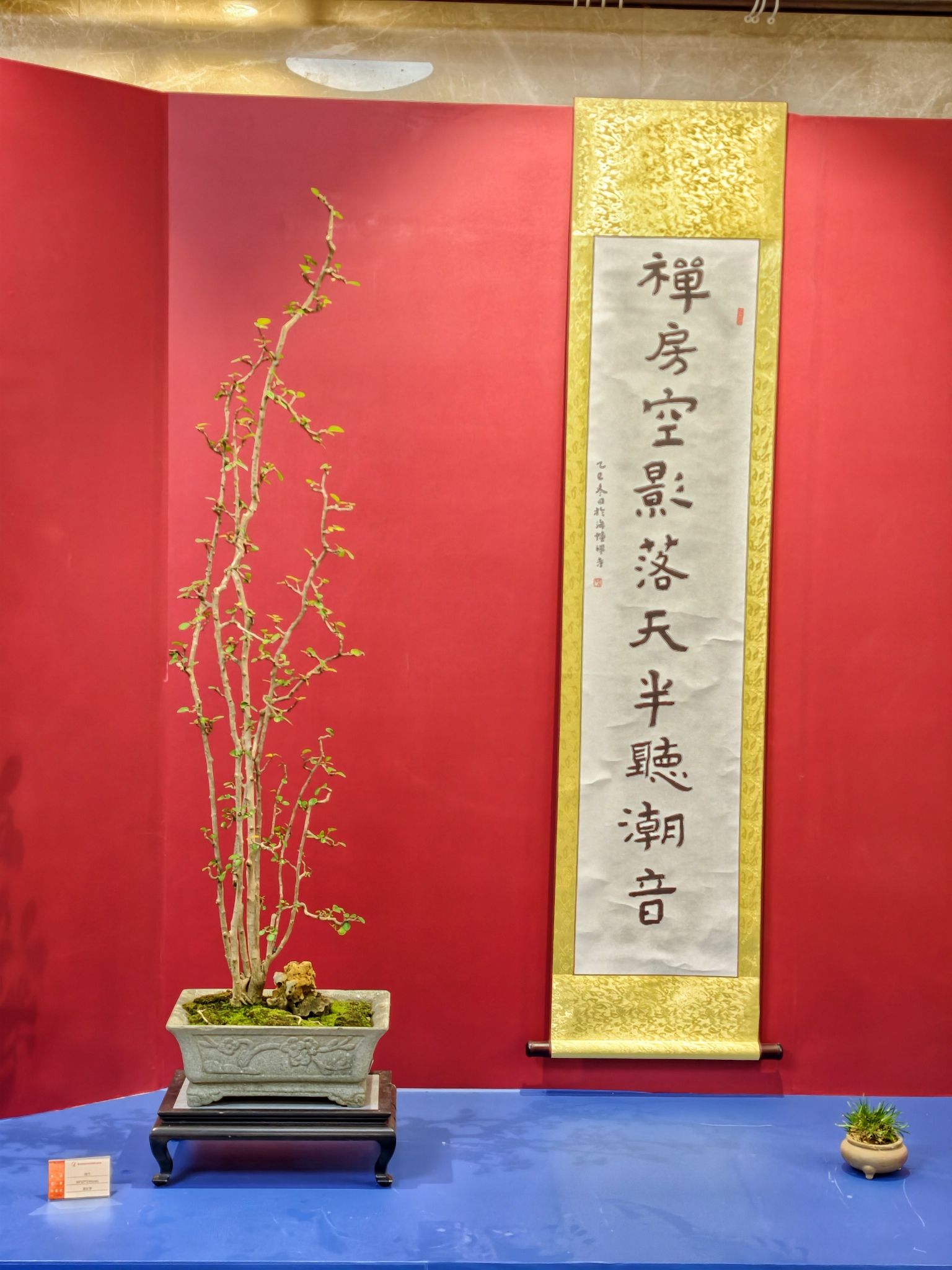 海幢寺-天王殿实景照片