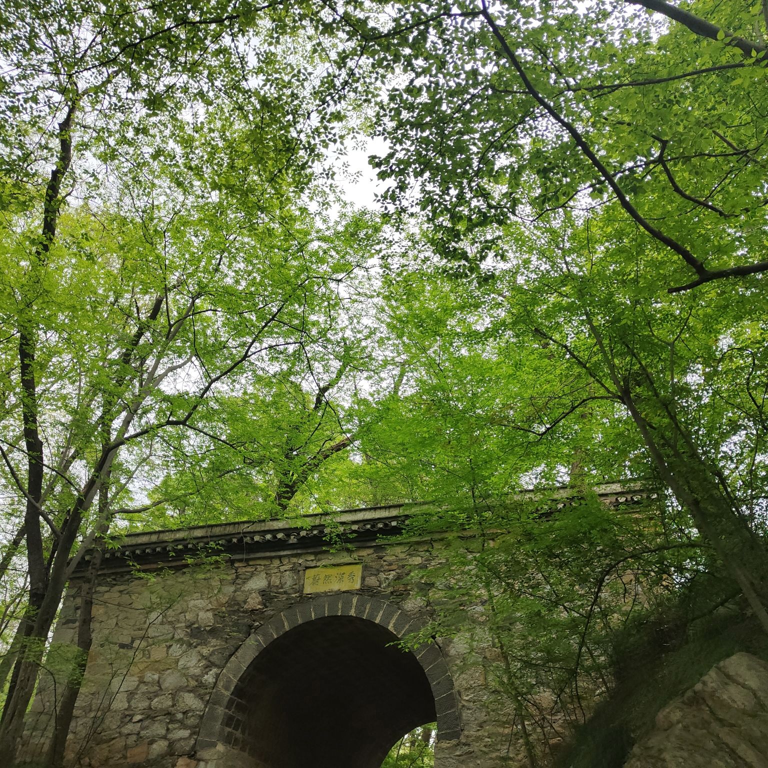 琅琊山景区旅行图片 3
