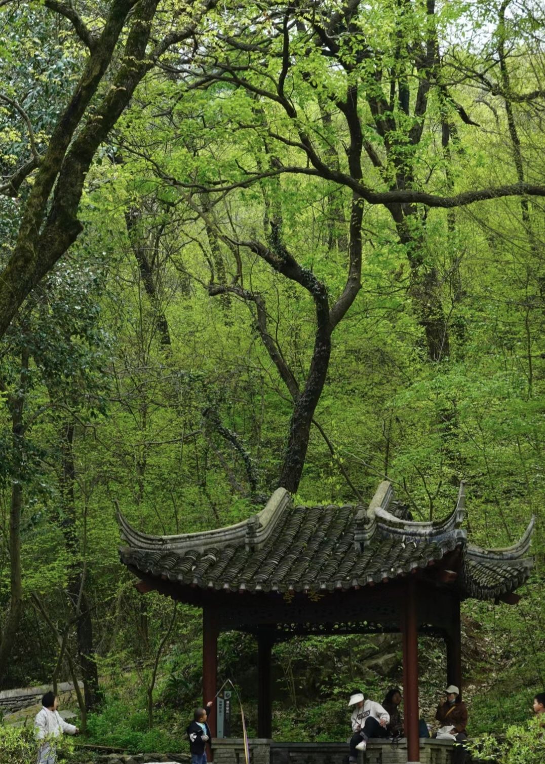 琅琊山景区旅行图片 1