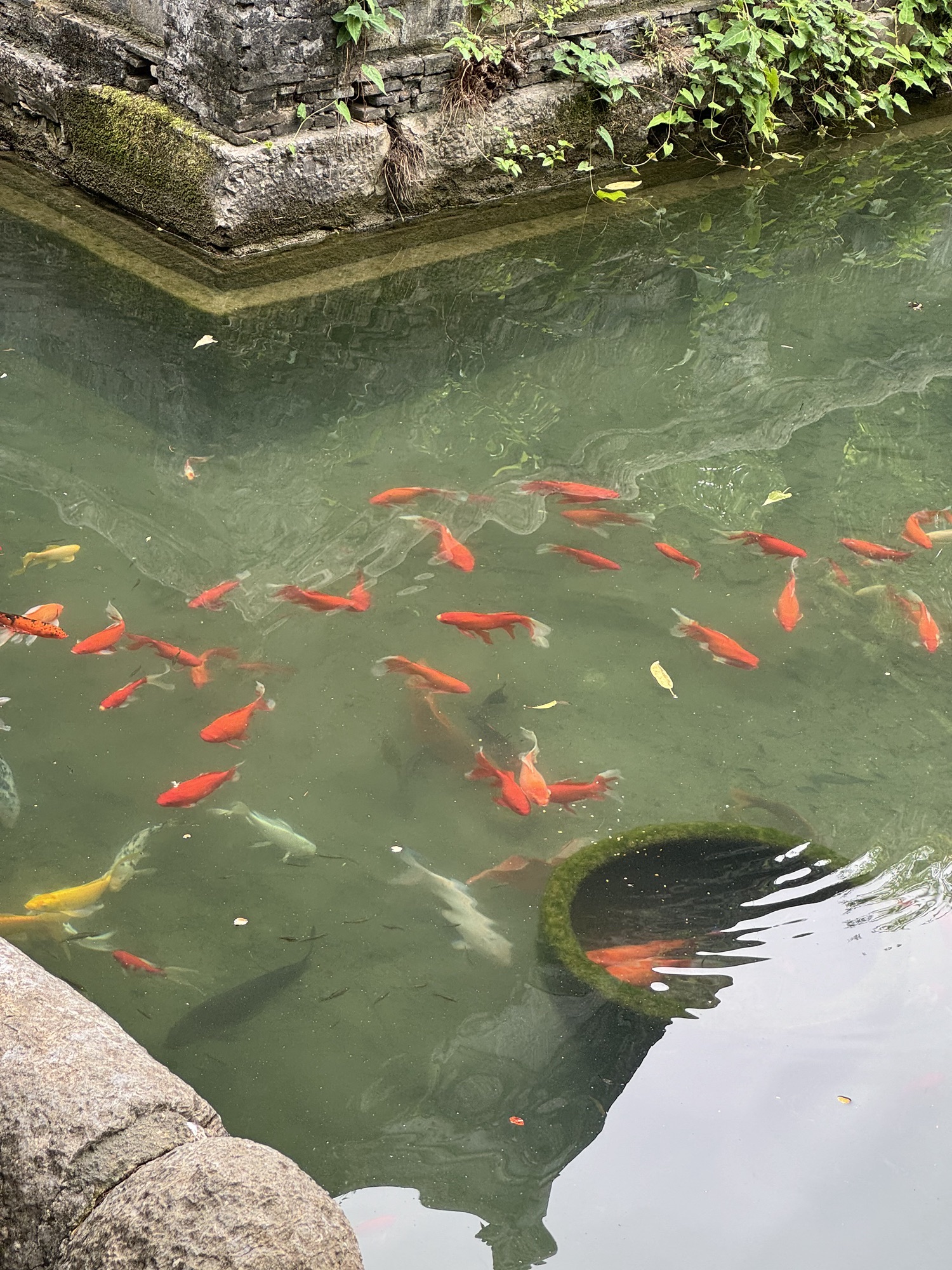琅琊山景区旅行图片 2