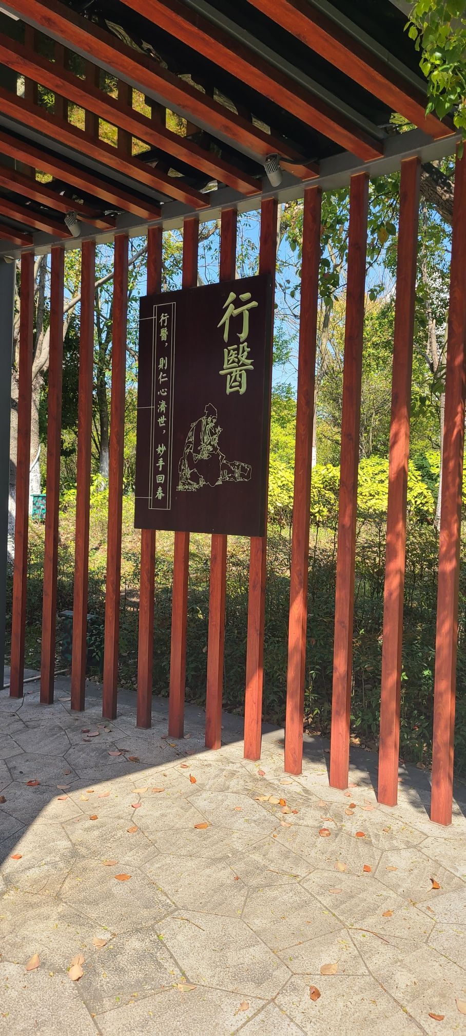 乌镇人民公园旅行图片 1