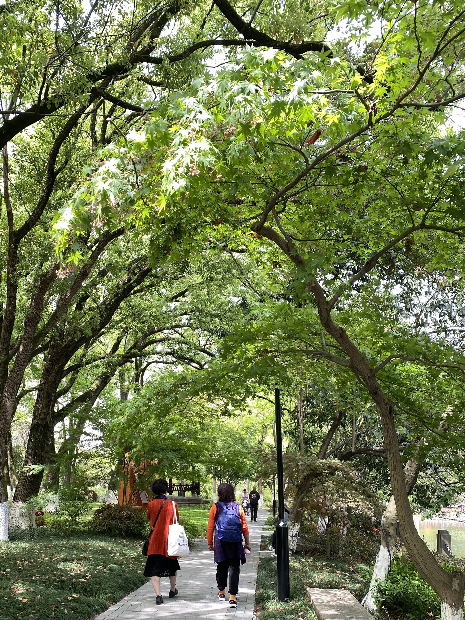 乌镇人民公园旅行图片 2