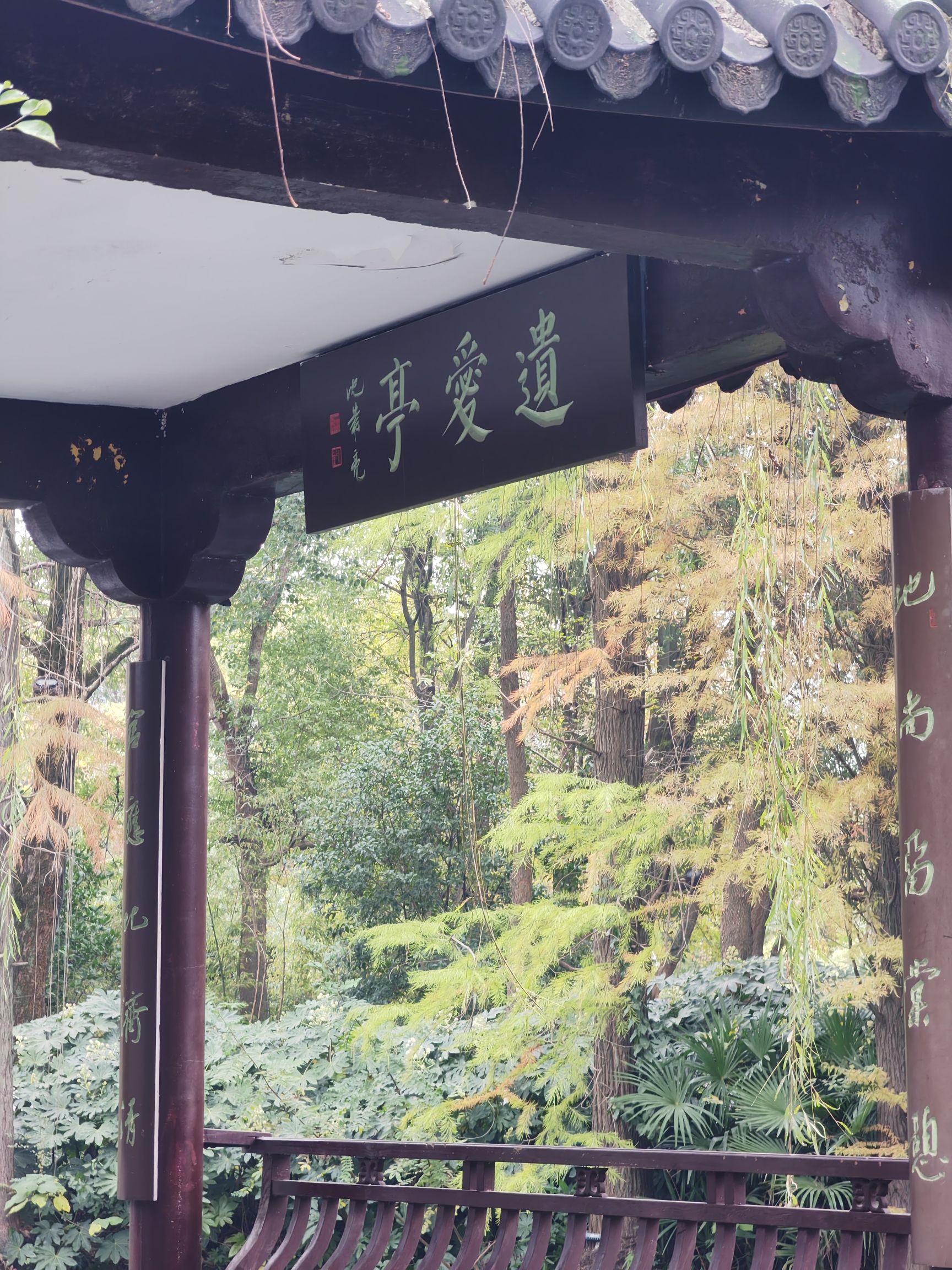 乌镇人民公园旅行图片 3