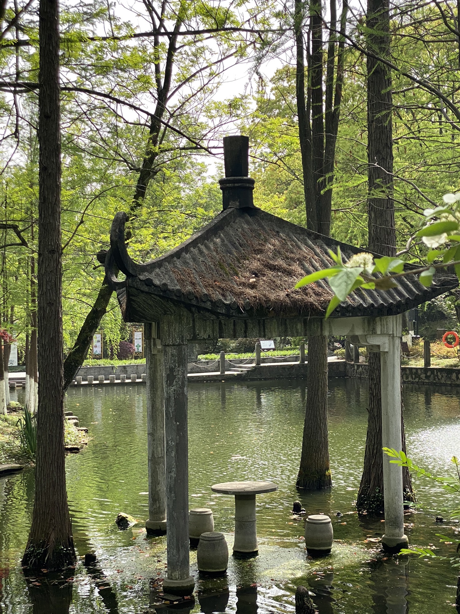 乌镇人民公园旅行图片 1