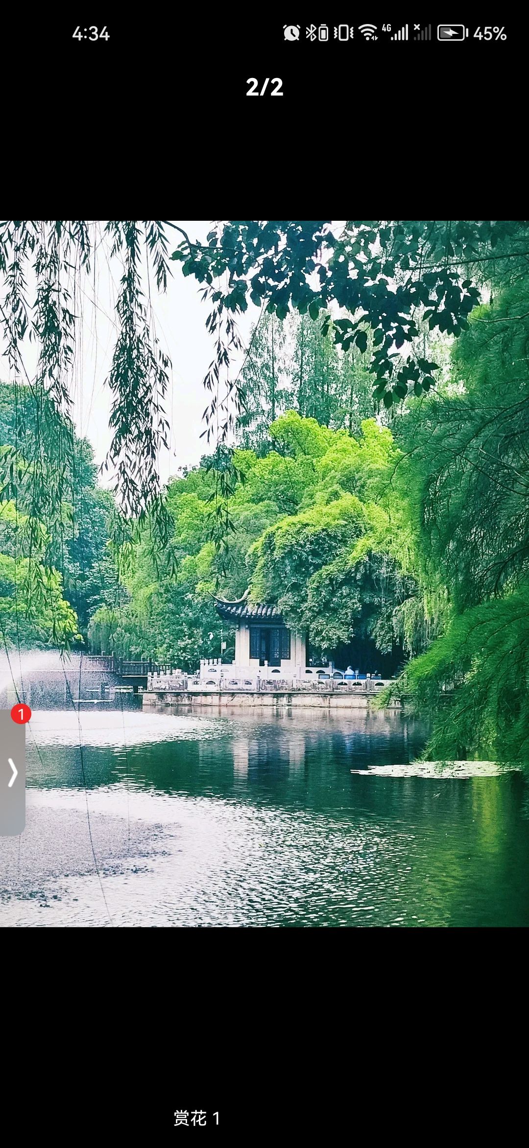 乌镇人民公园旅行图片 1