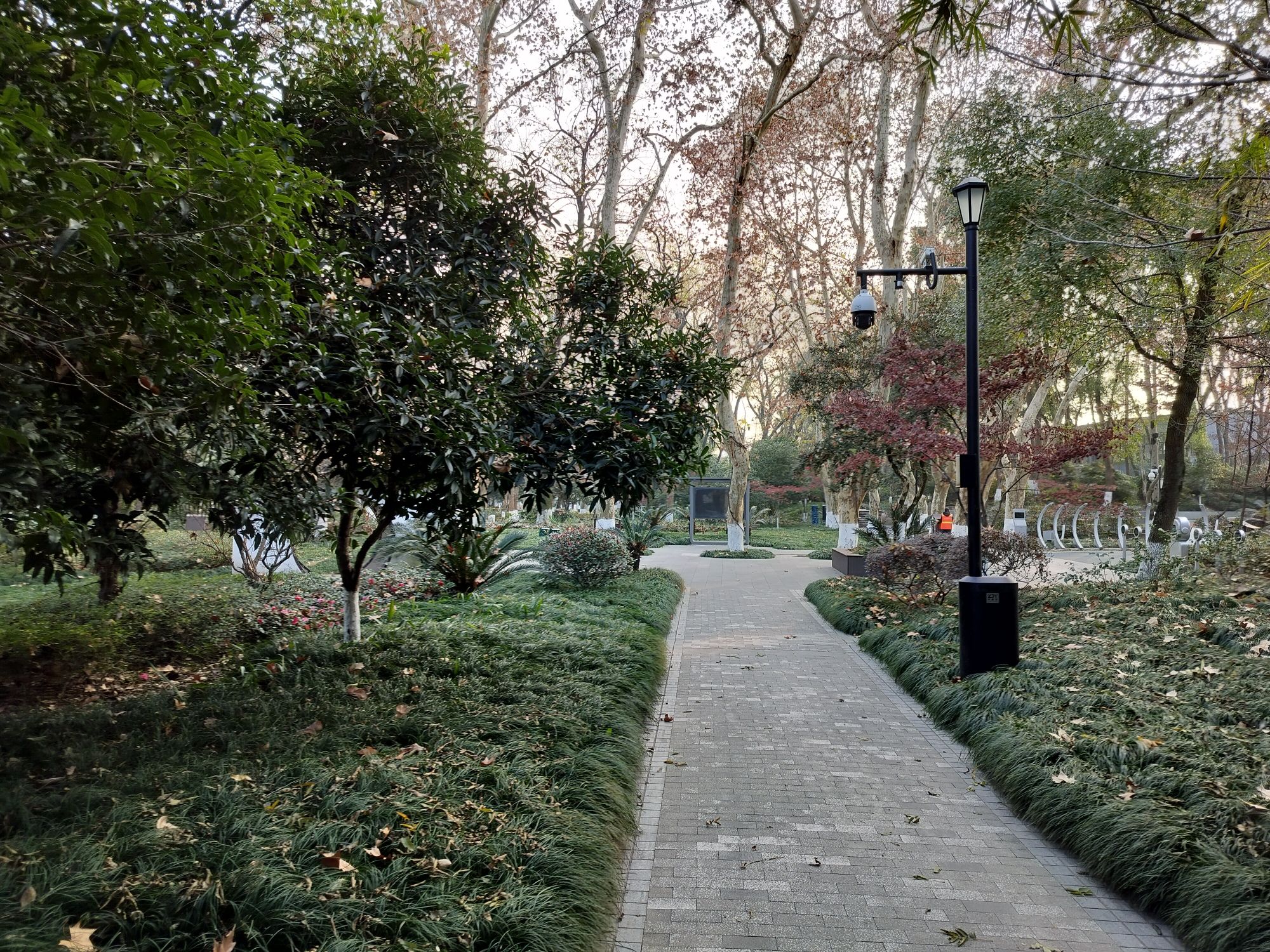 乌镇人民公园旅行图片 3