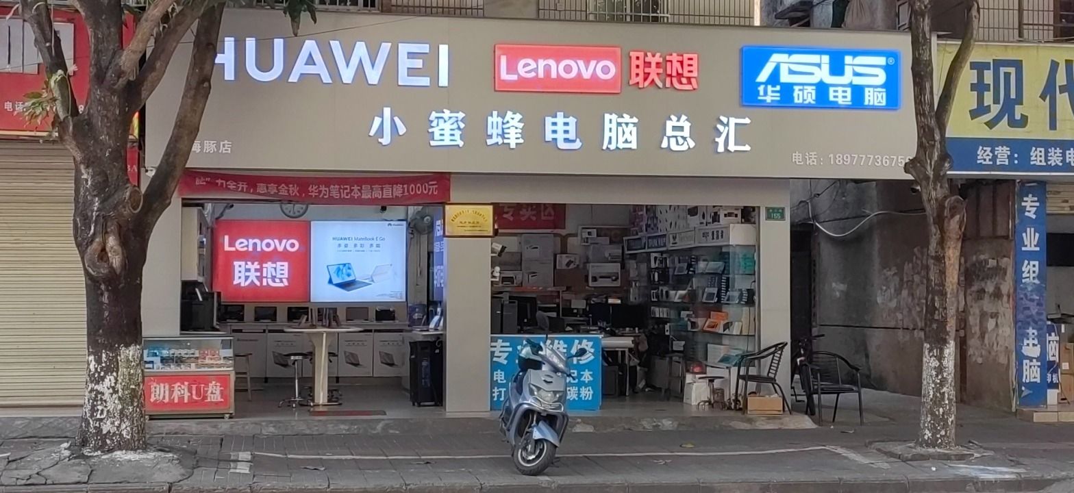 小蜜蜂电脑(新兴街店)