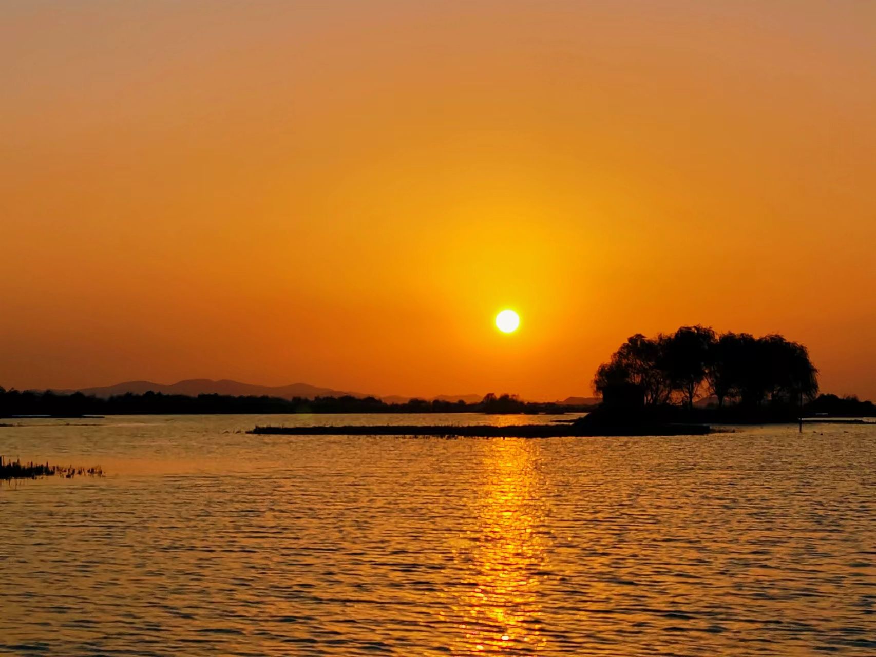 太湖湖滨国家湿地旅行图片 2