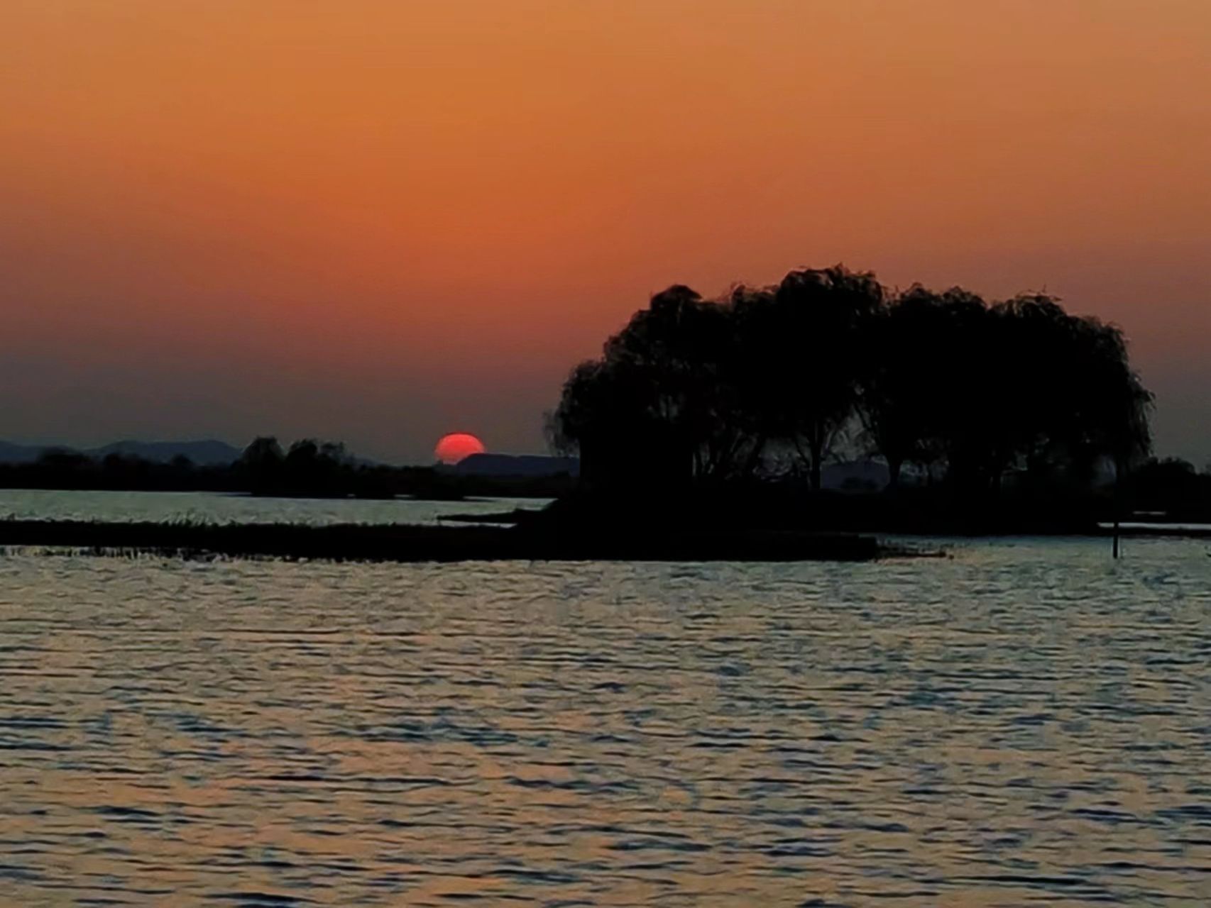太湖湖滨国家湿地旅行图片 3