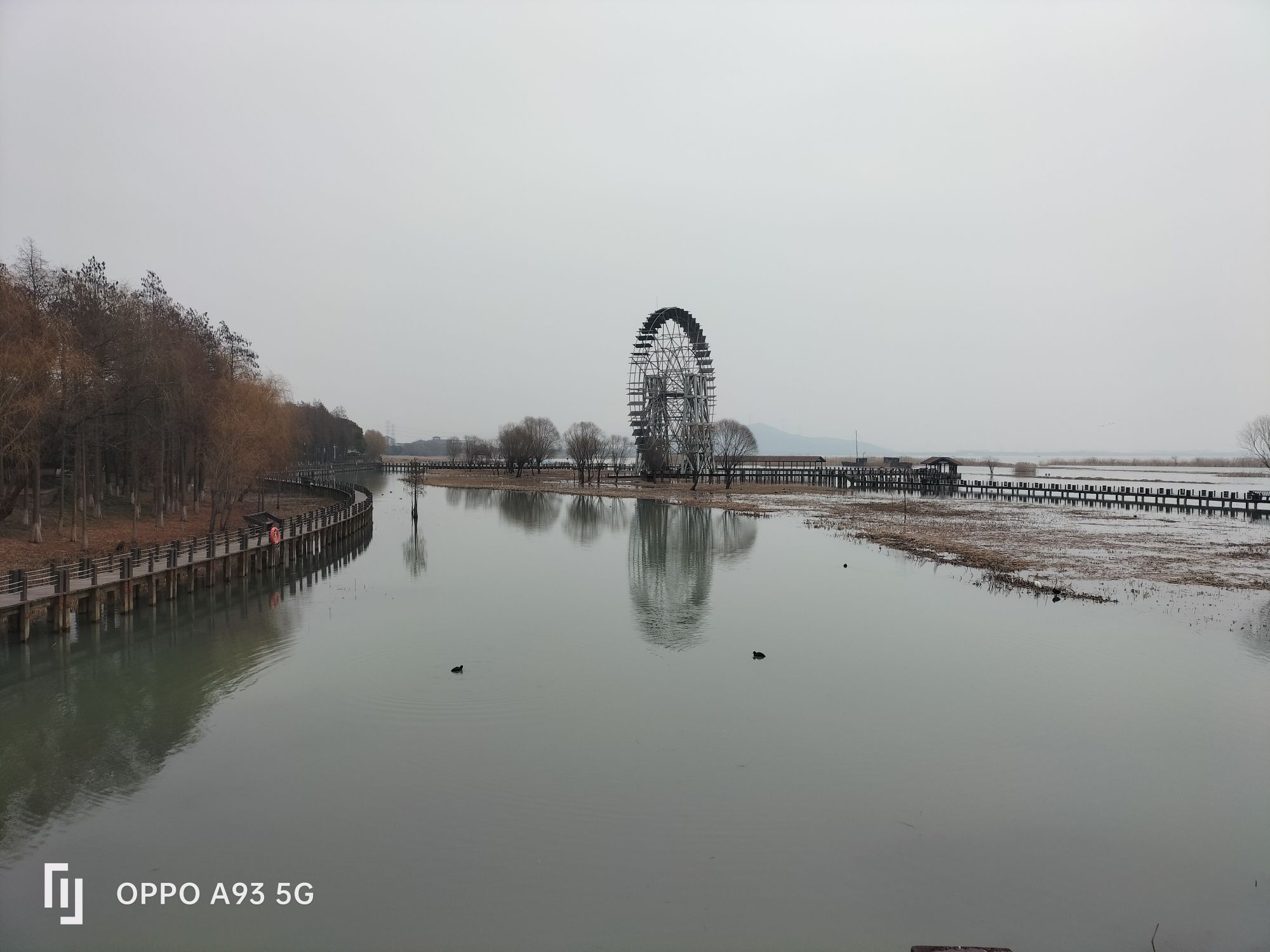 太湖湖滨国家湿地旅行图片 1