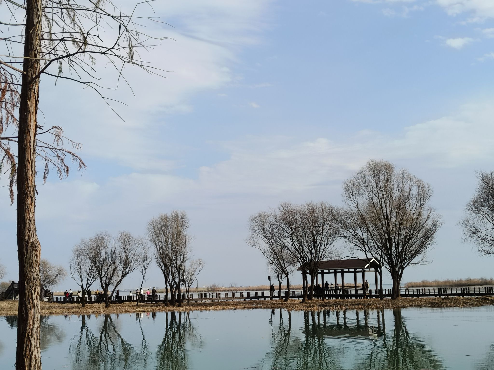 太湖湖滨国家湿地旅行图片 1